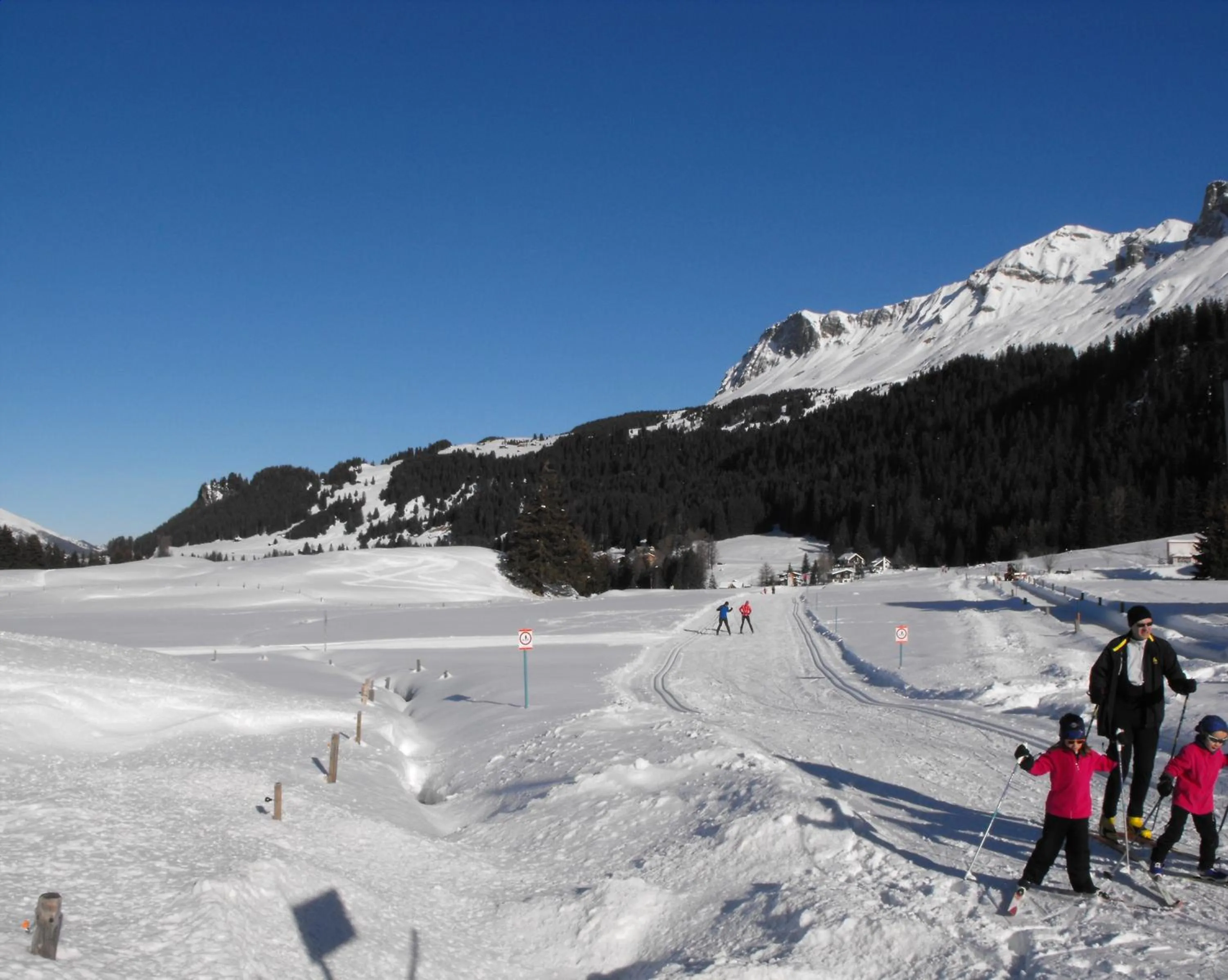 Natural landscape in Hotel Stätzerhorn