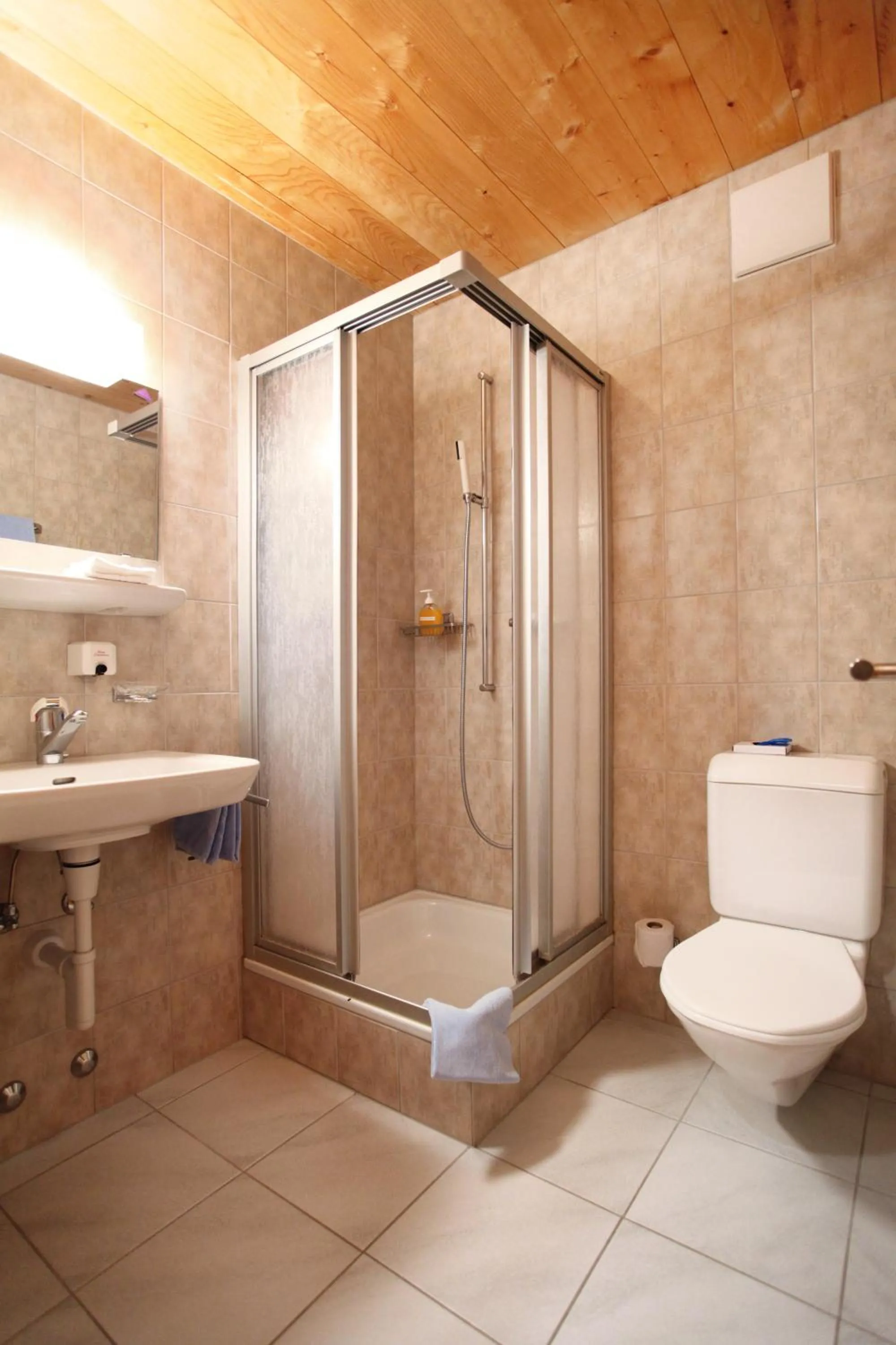 Shower in Hotel Stätzerhorn