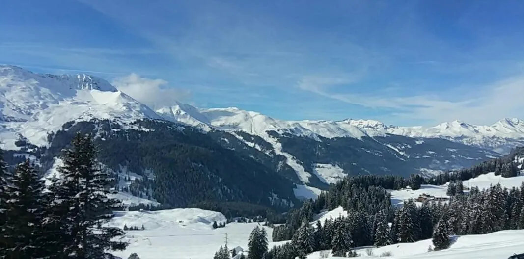 Natural landscape in Hotel Stätzerhorn
