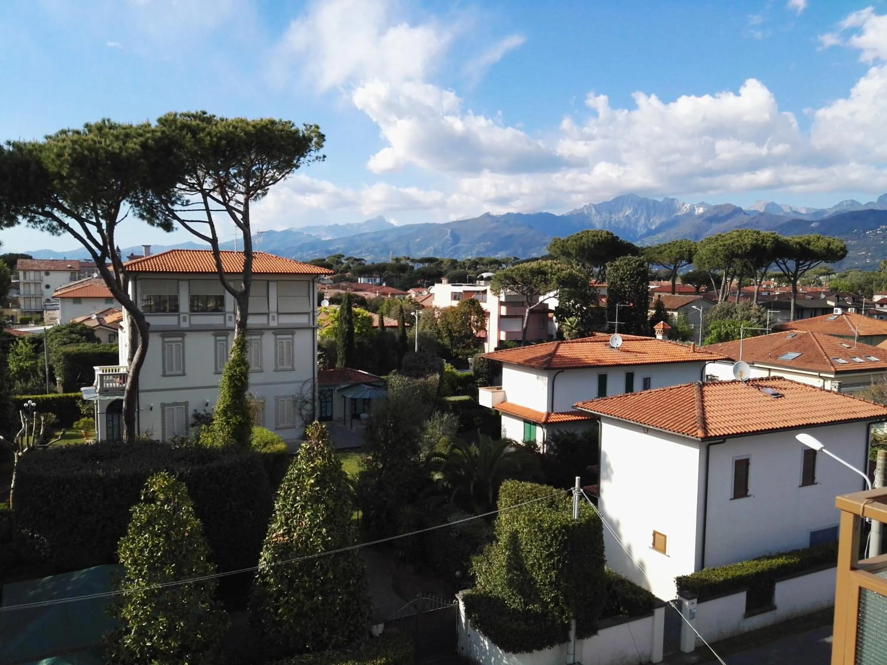 View (from property/room) in Hotel Elizabeth