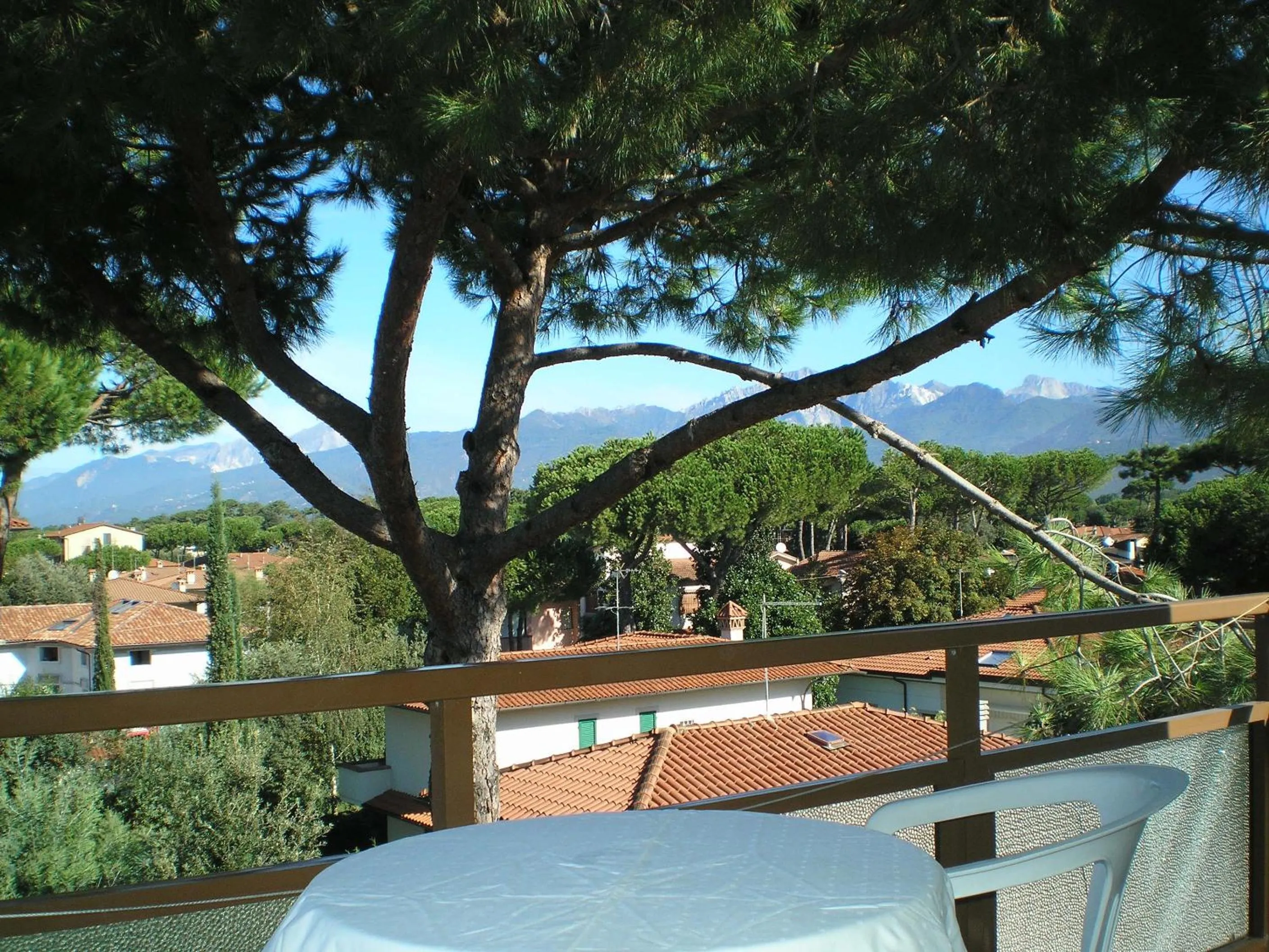 Balcony/Terrace in Hotel Elizabeth