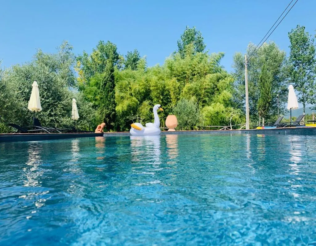 Swimming pool in Agriturismo Borgo Il Bonagino