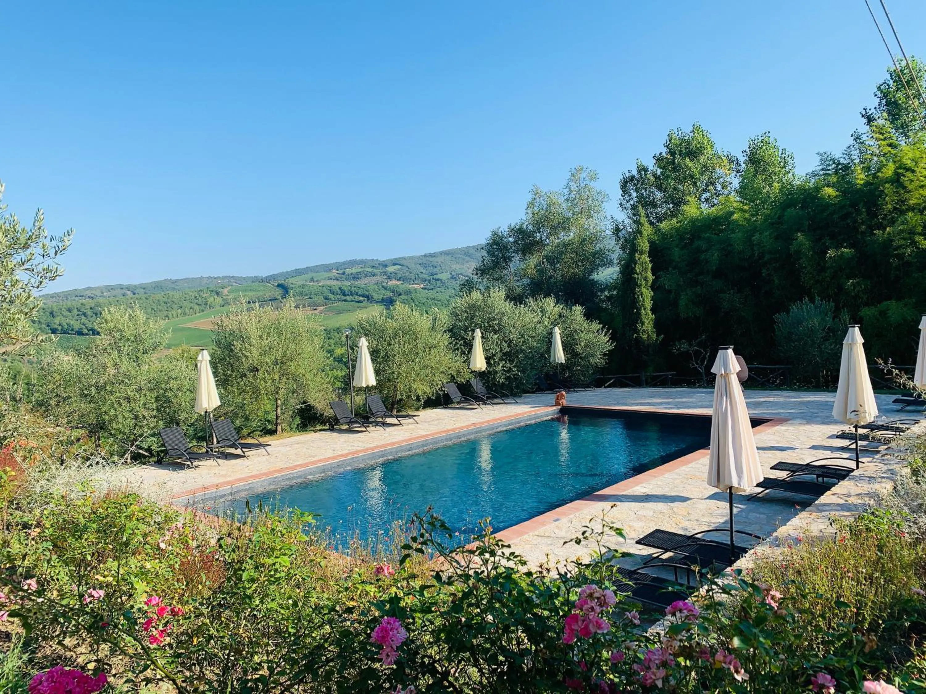Swimming pool in Agriturismo Borgo Il Bonagino