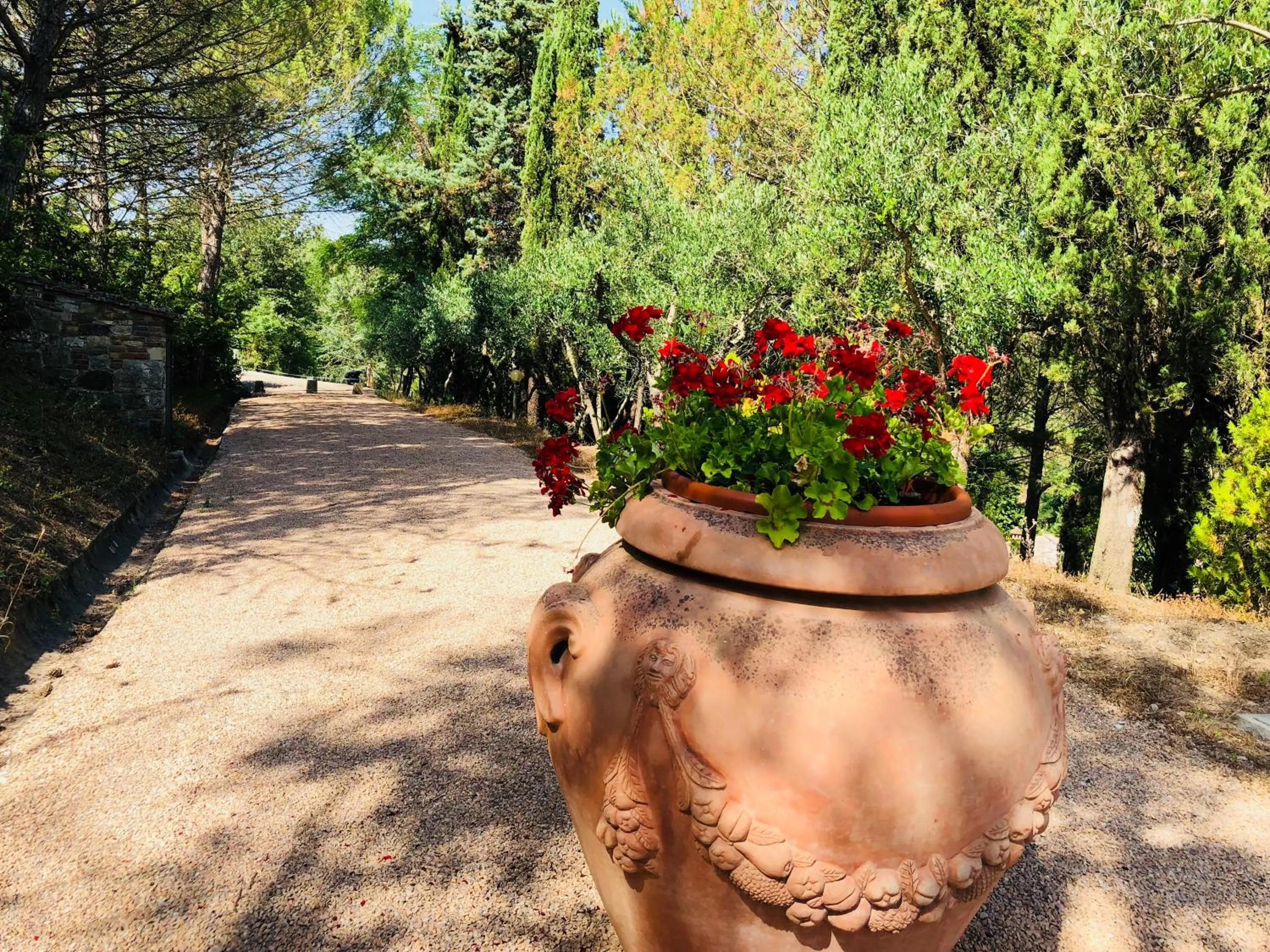 Agriturismo Borgo Il Bonagino