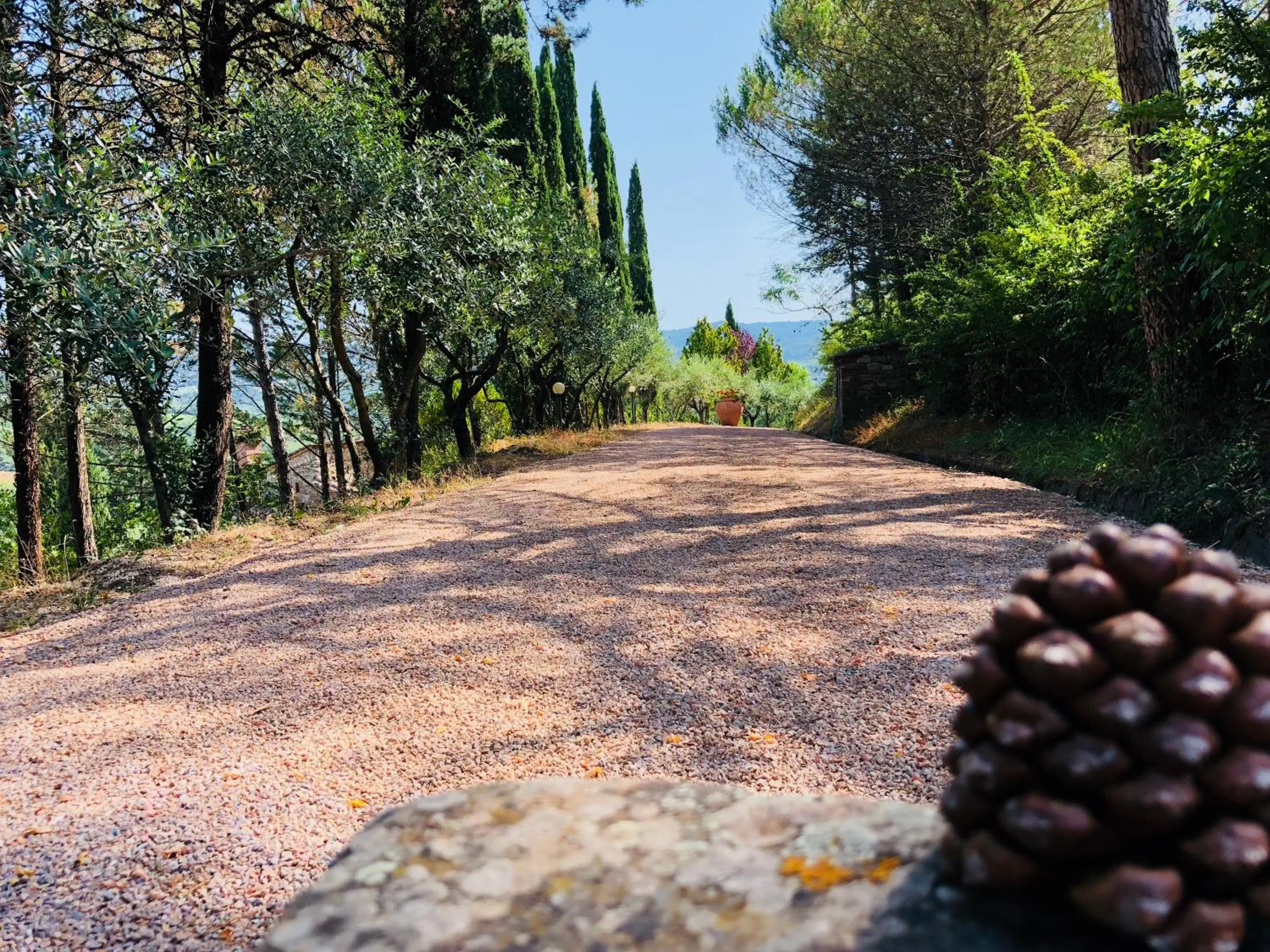 Agriturismo Borgo Il Bonagino