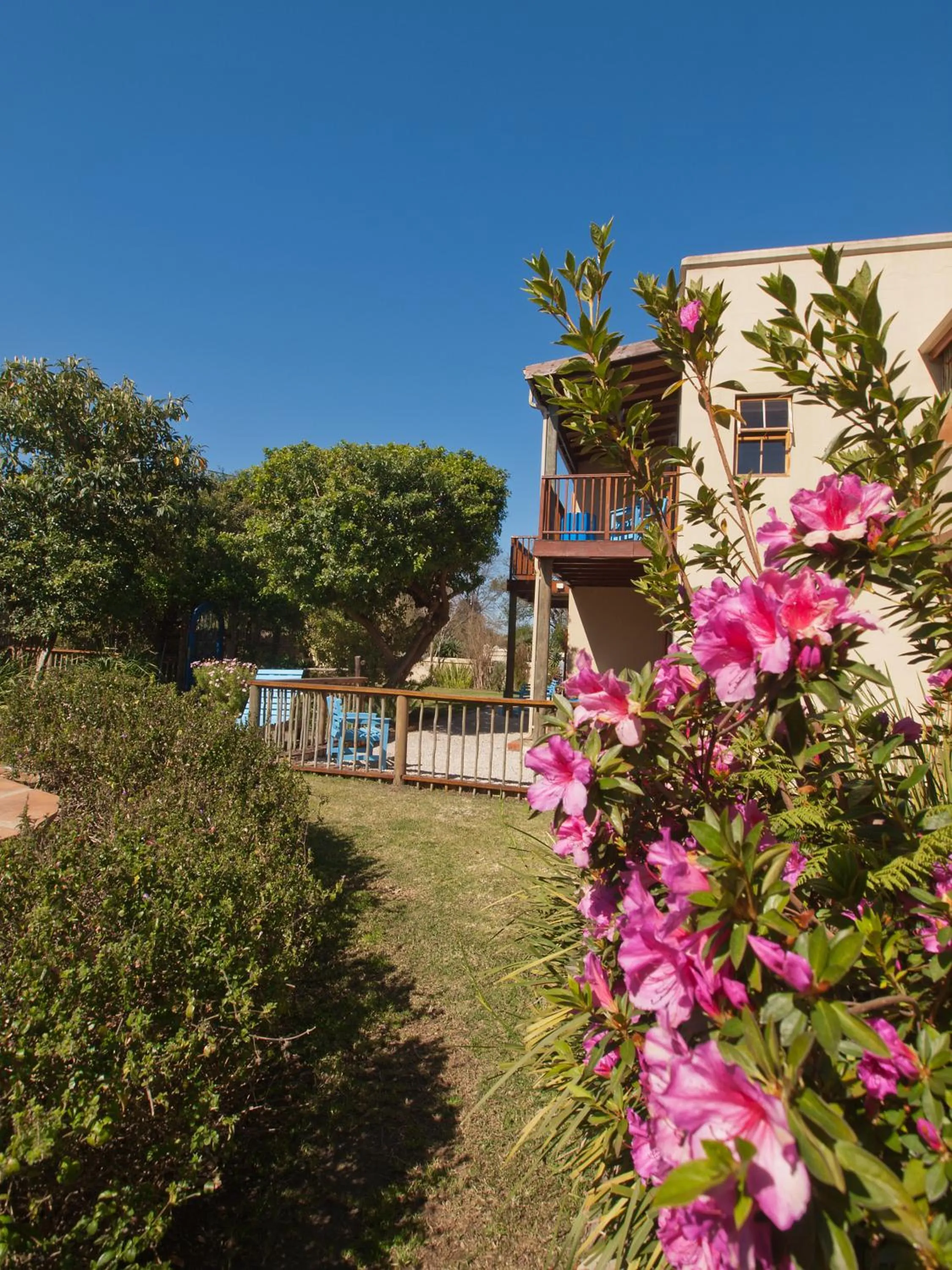 Day in At the Woods Guest House