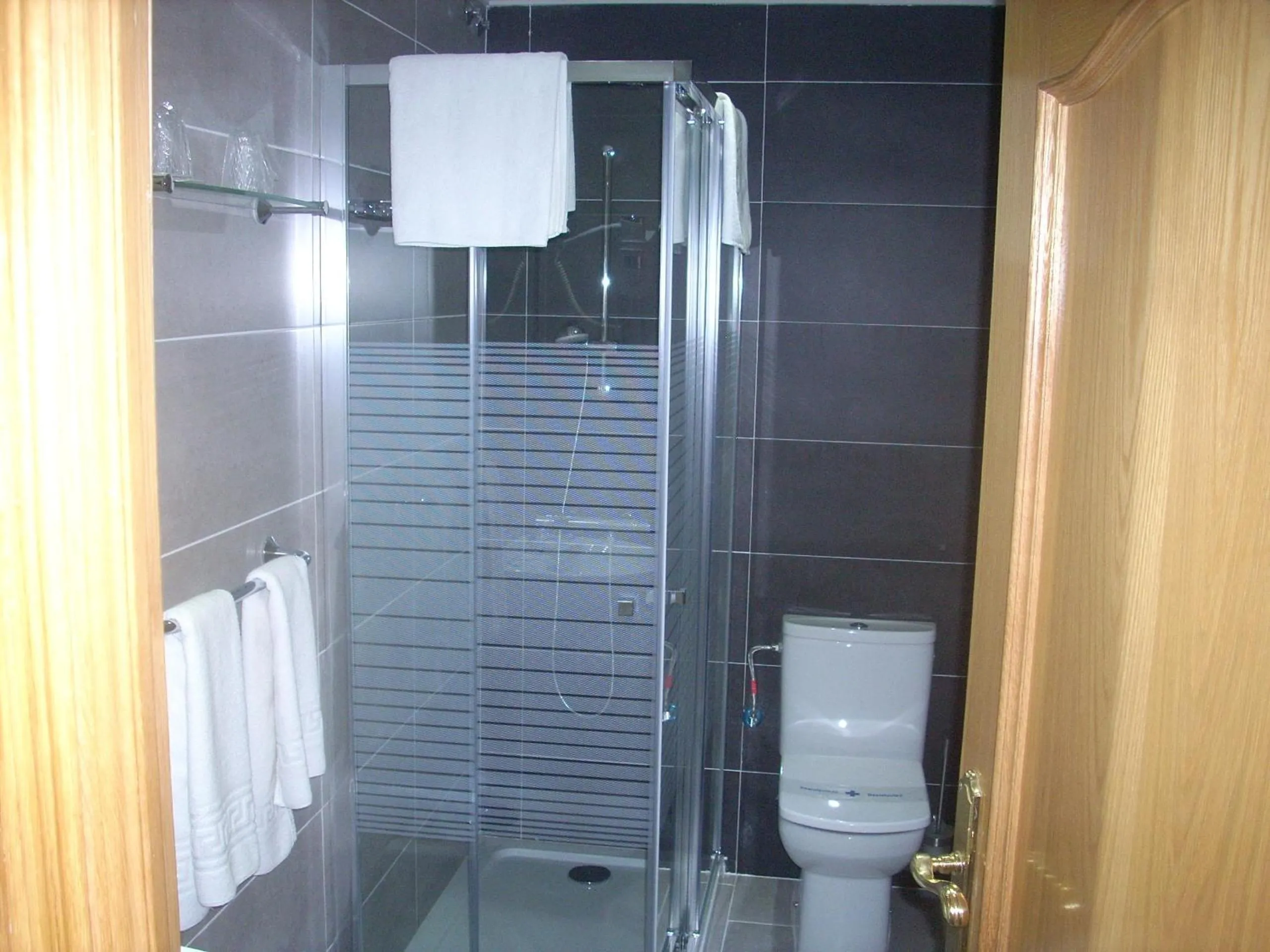 Shower in Hotel Corona de Castilla