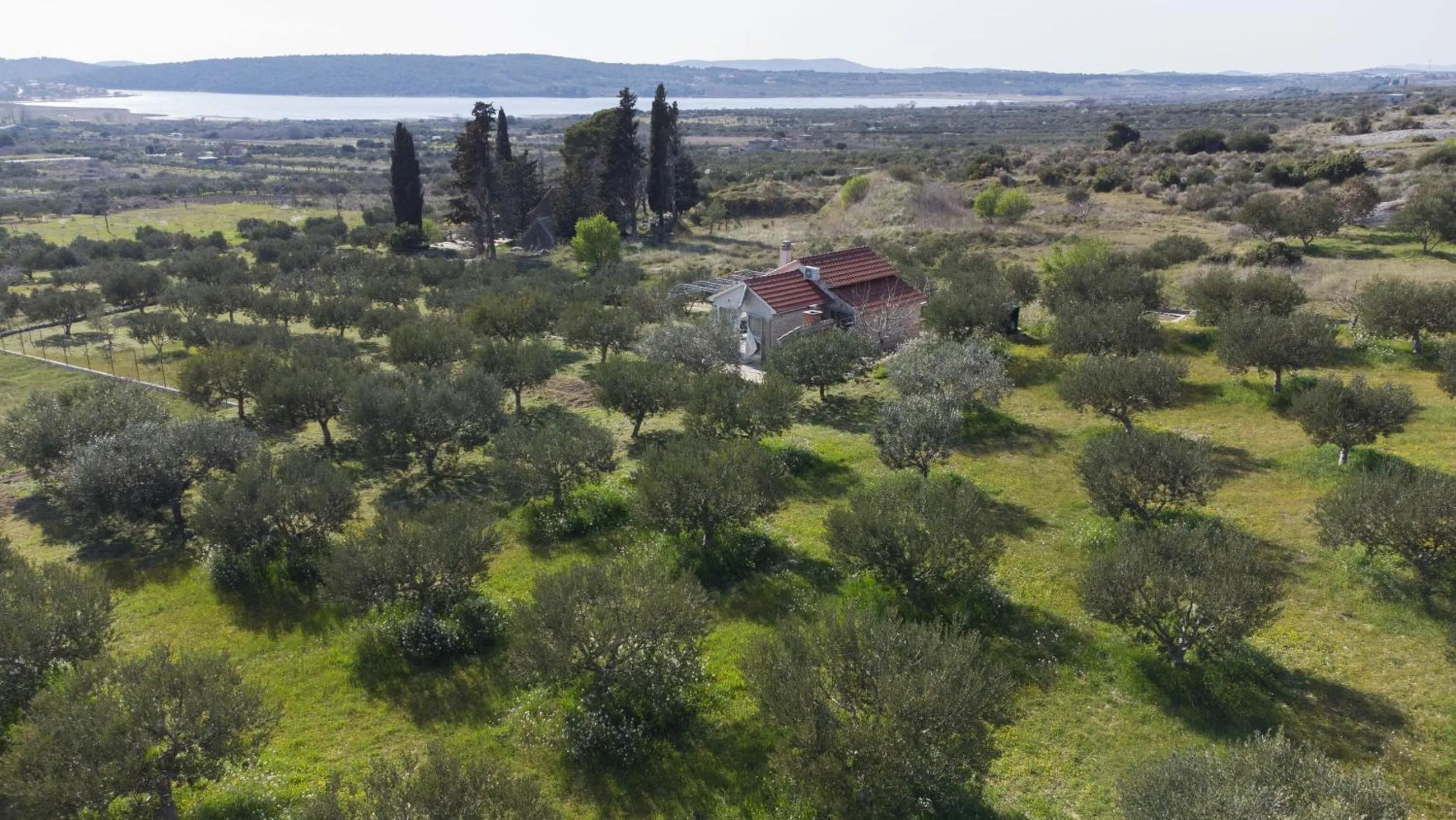 Holiday home Olive