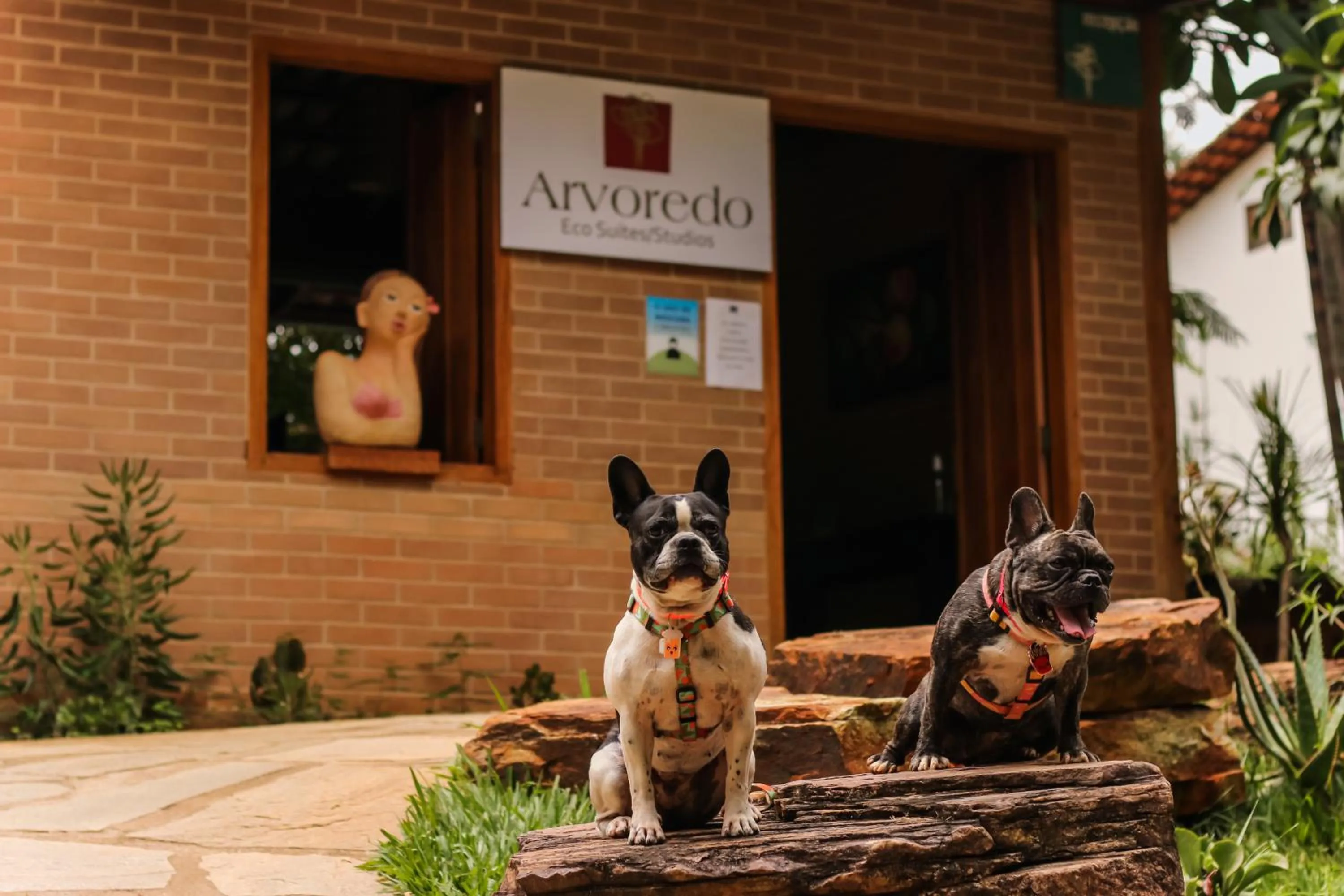 Day in Pousada Arvoredo