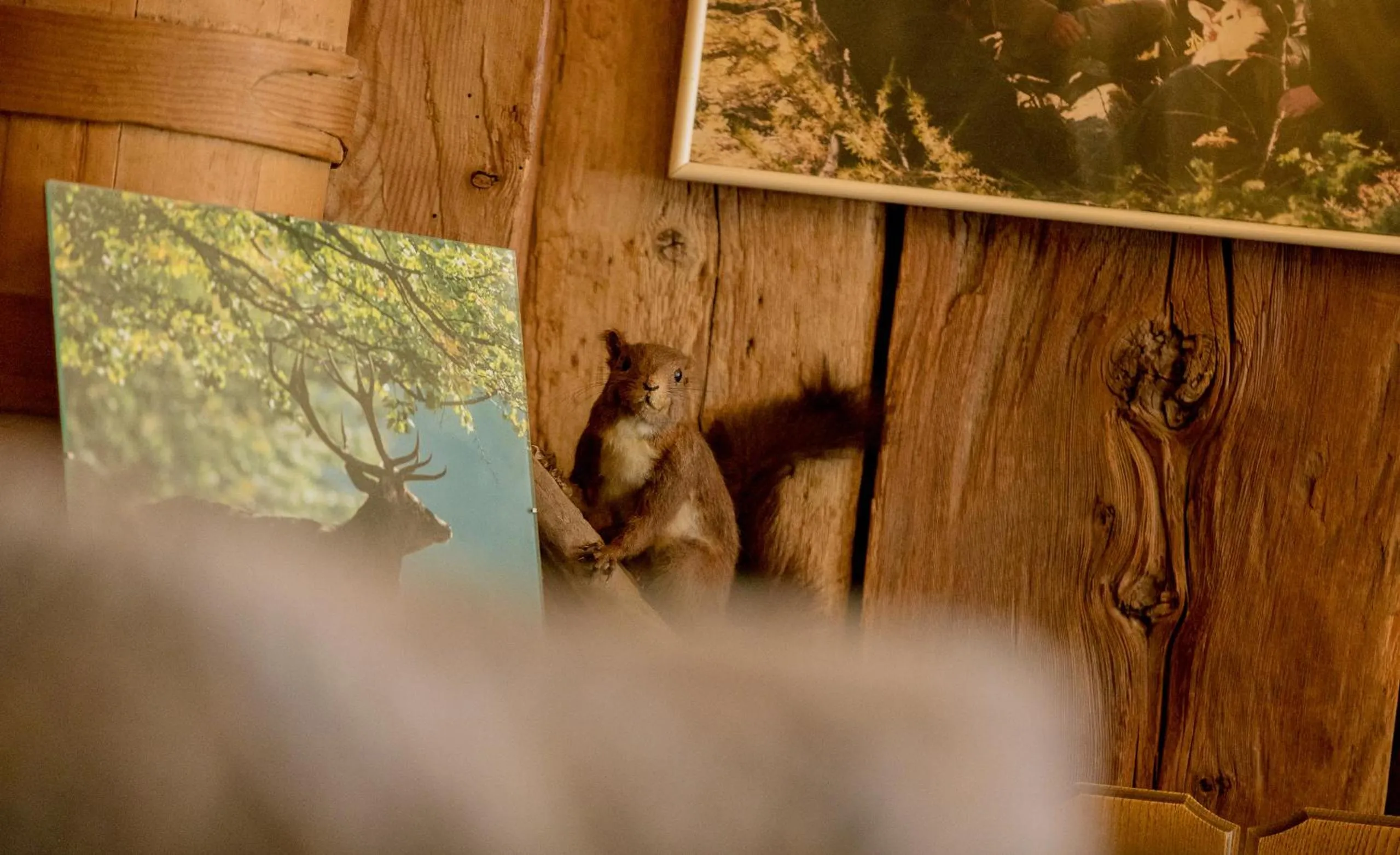 Restaurant/places to eat in Sporthotel Walliserhof