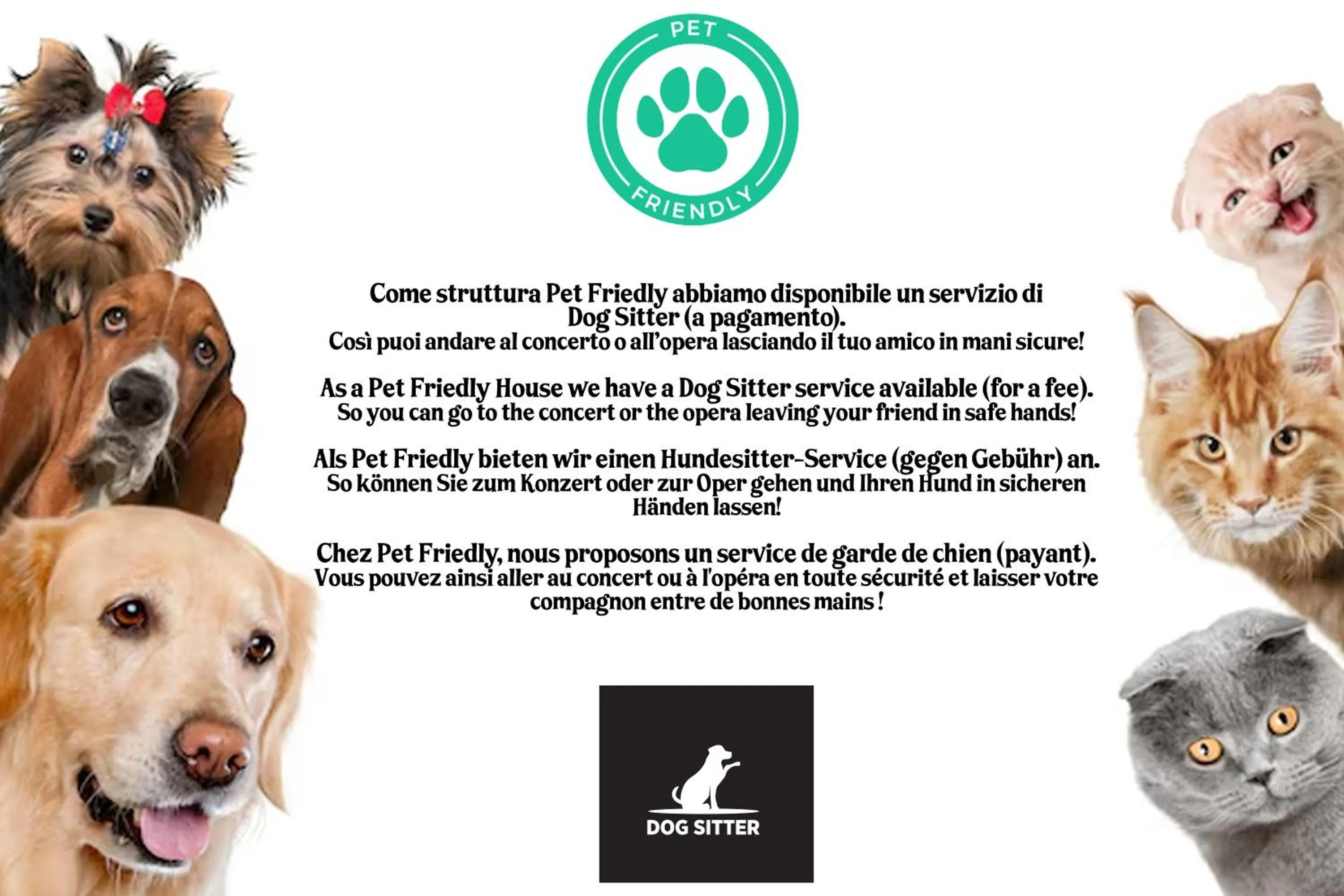 Area and facilities in Veronetta House