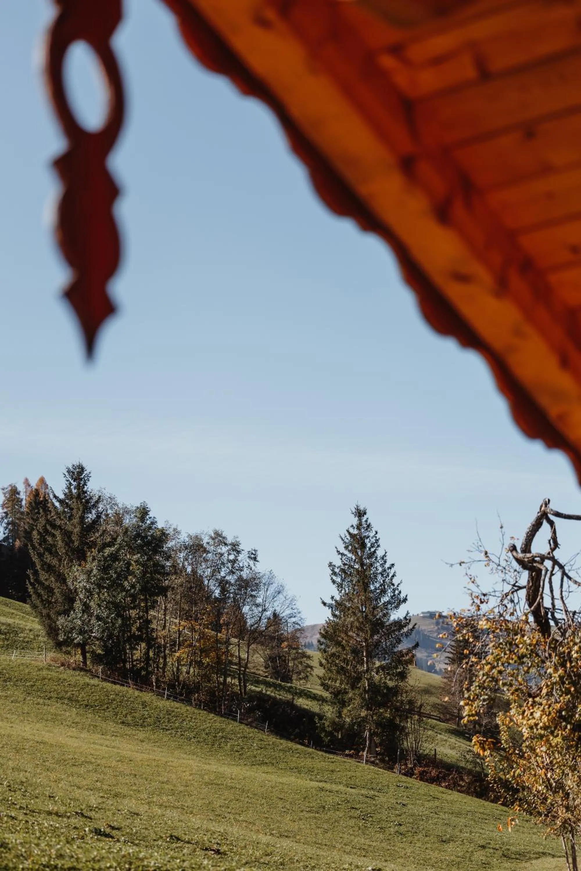 Natural landscape in Hotel Lammwirt