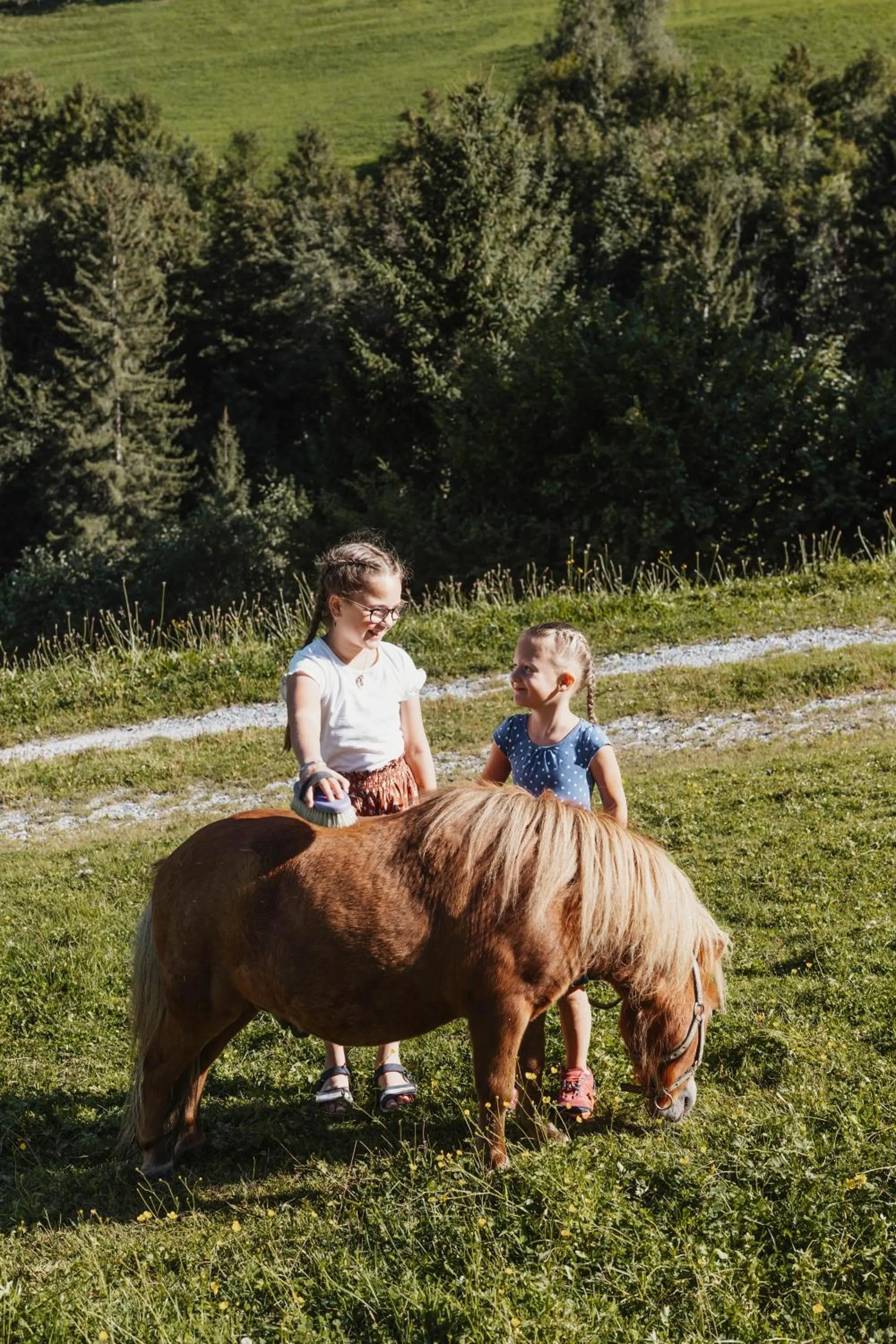Animals in Hotel Lammwirt