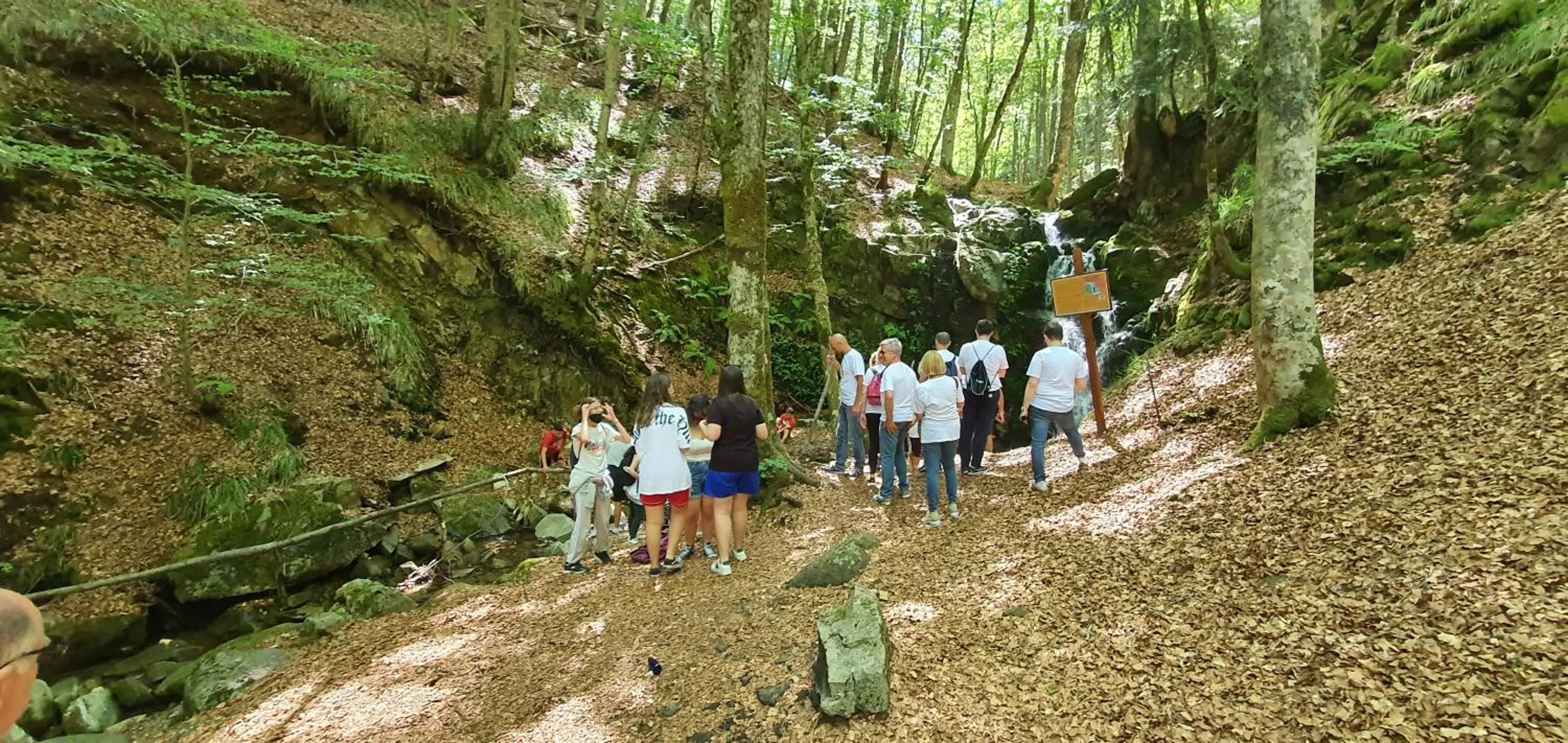 Natural landscape in Park Hotel Bellavista