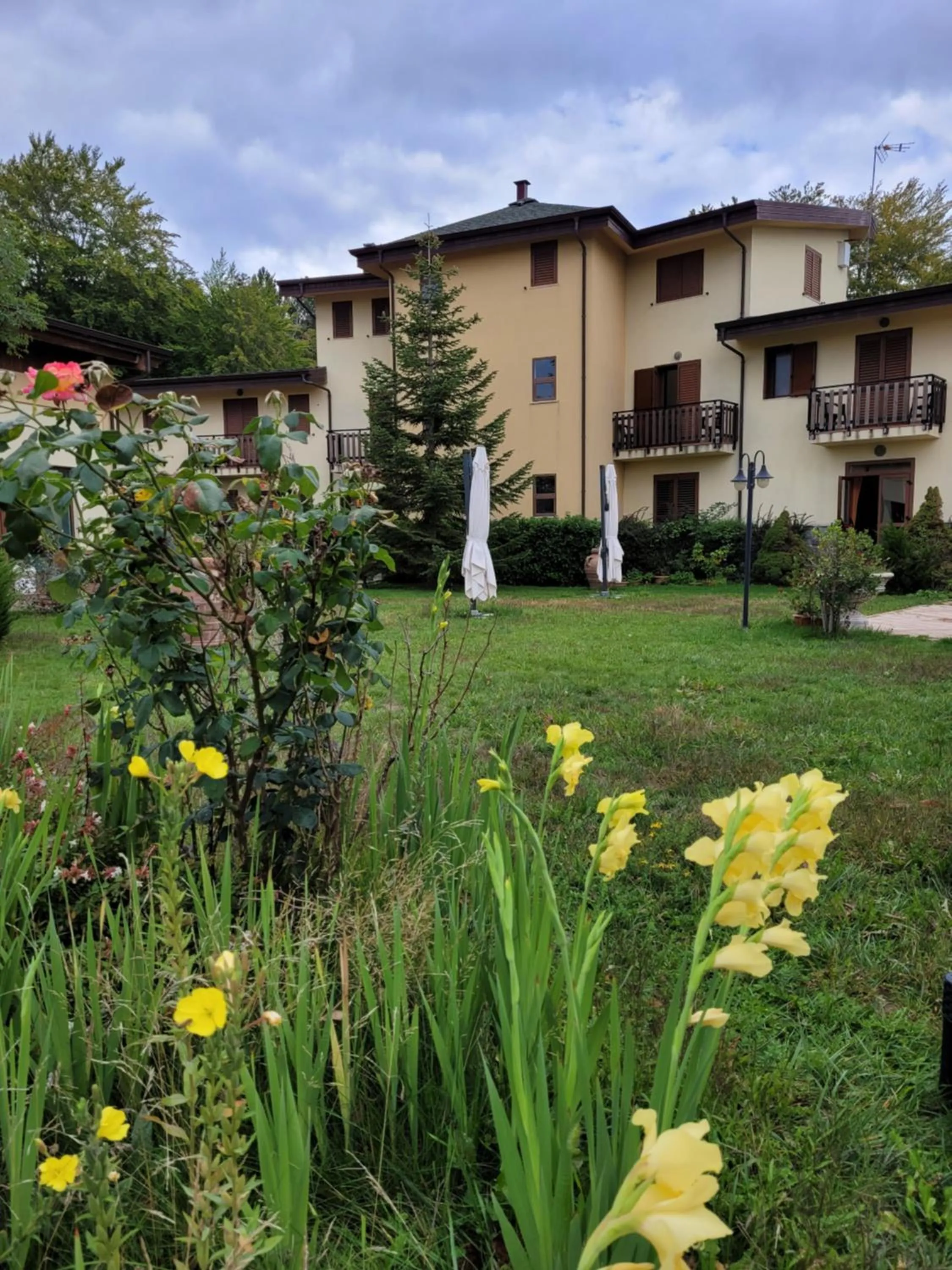 Garden in Park Hotel Bellavista