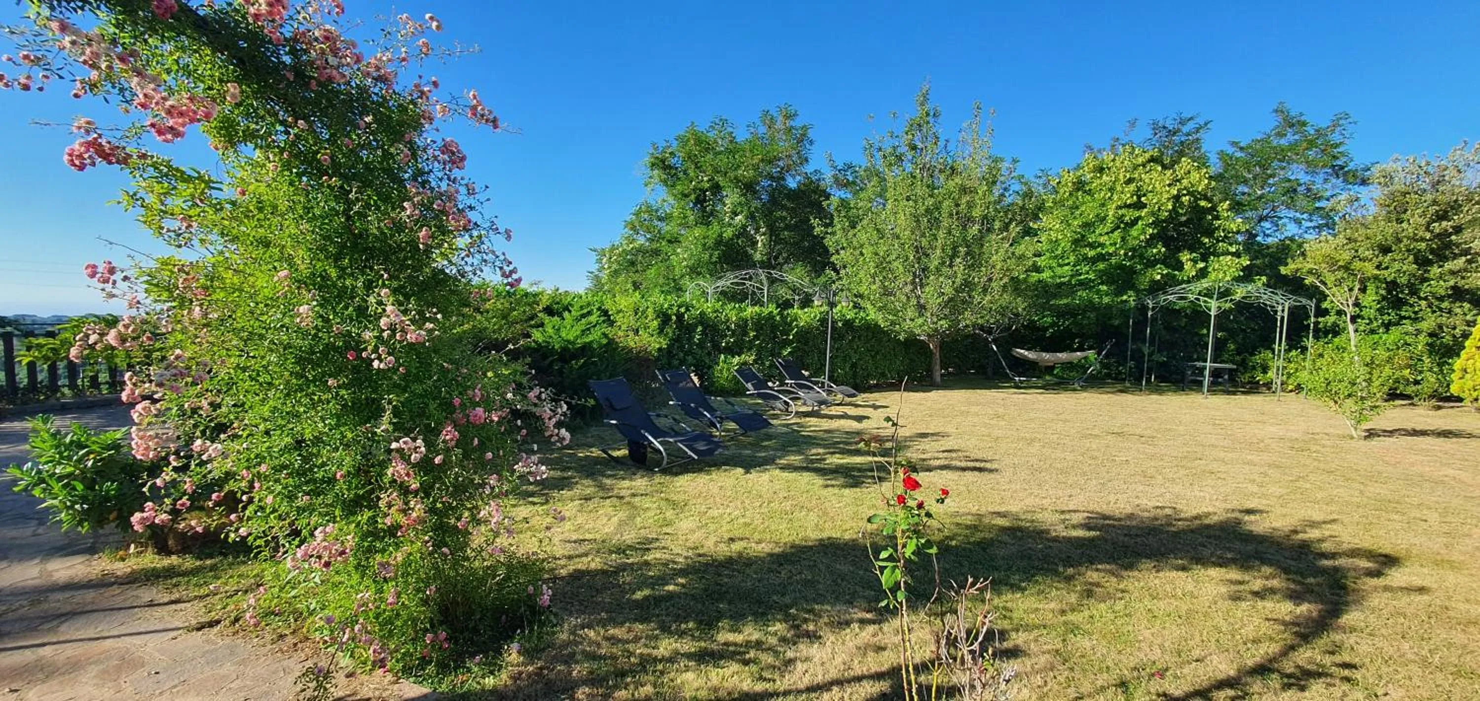 Garden in Park Hotel Bellavista