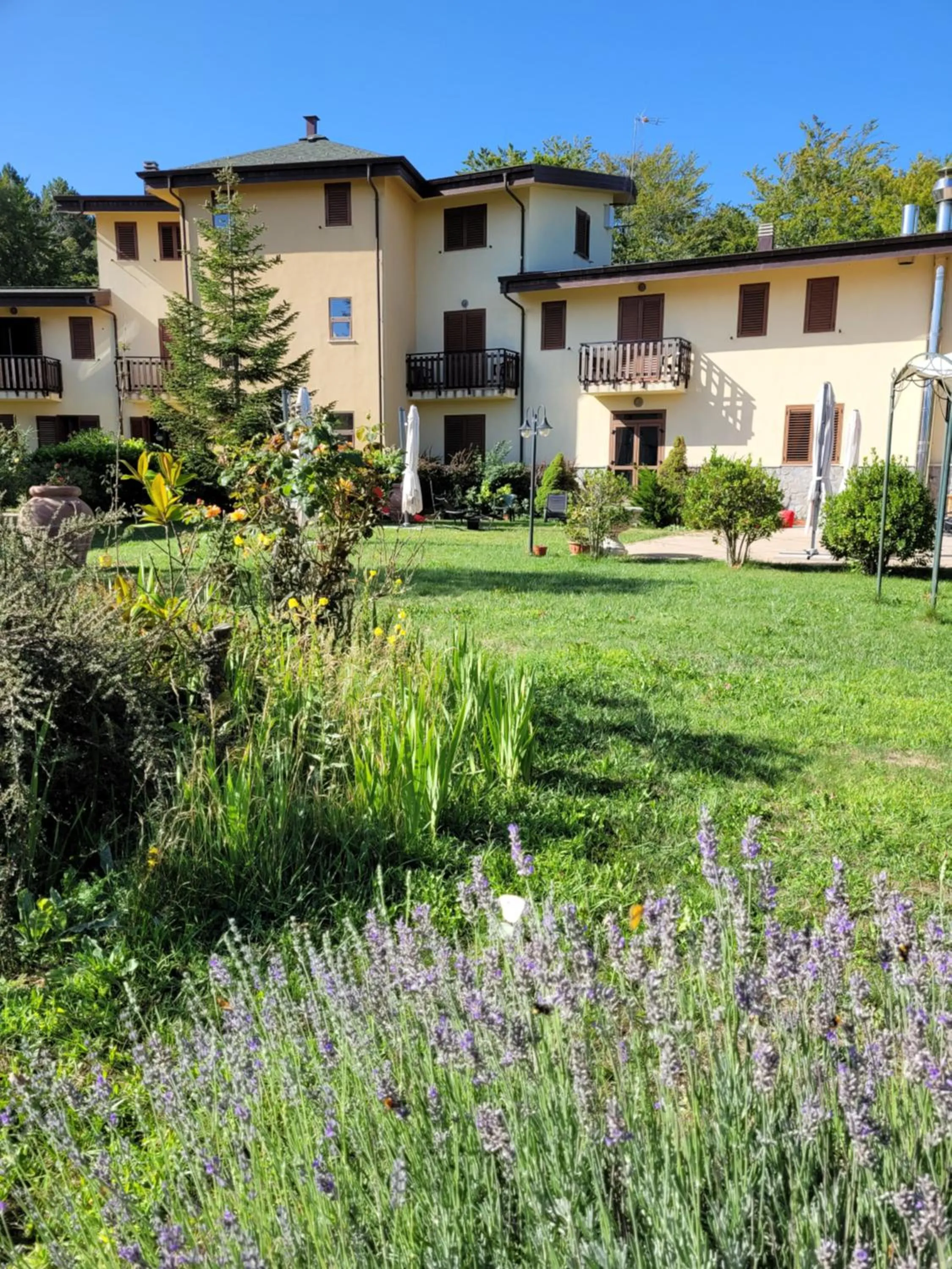 Garden in Park Hotel Bellavista