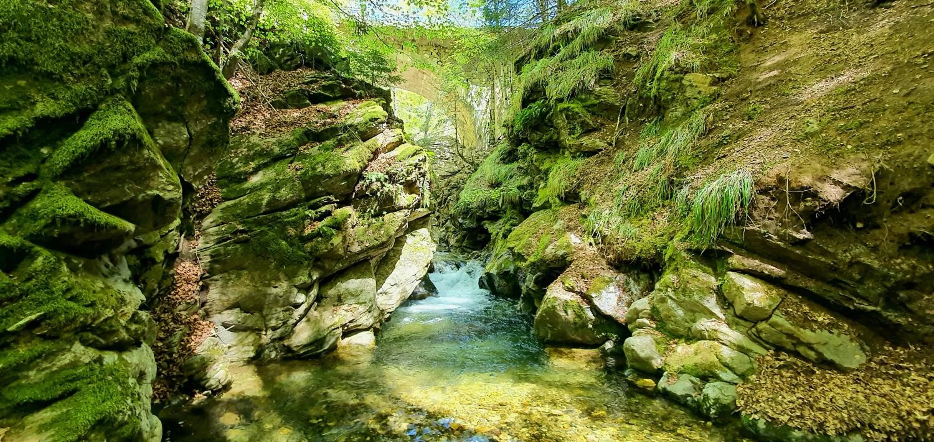Natural landscape in Park Hotel Bellavista