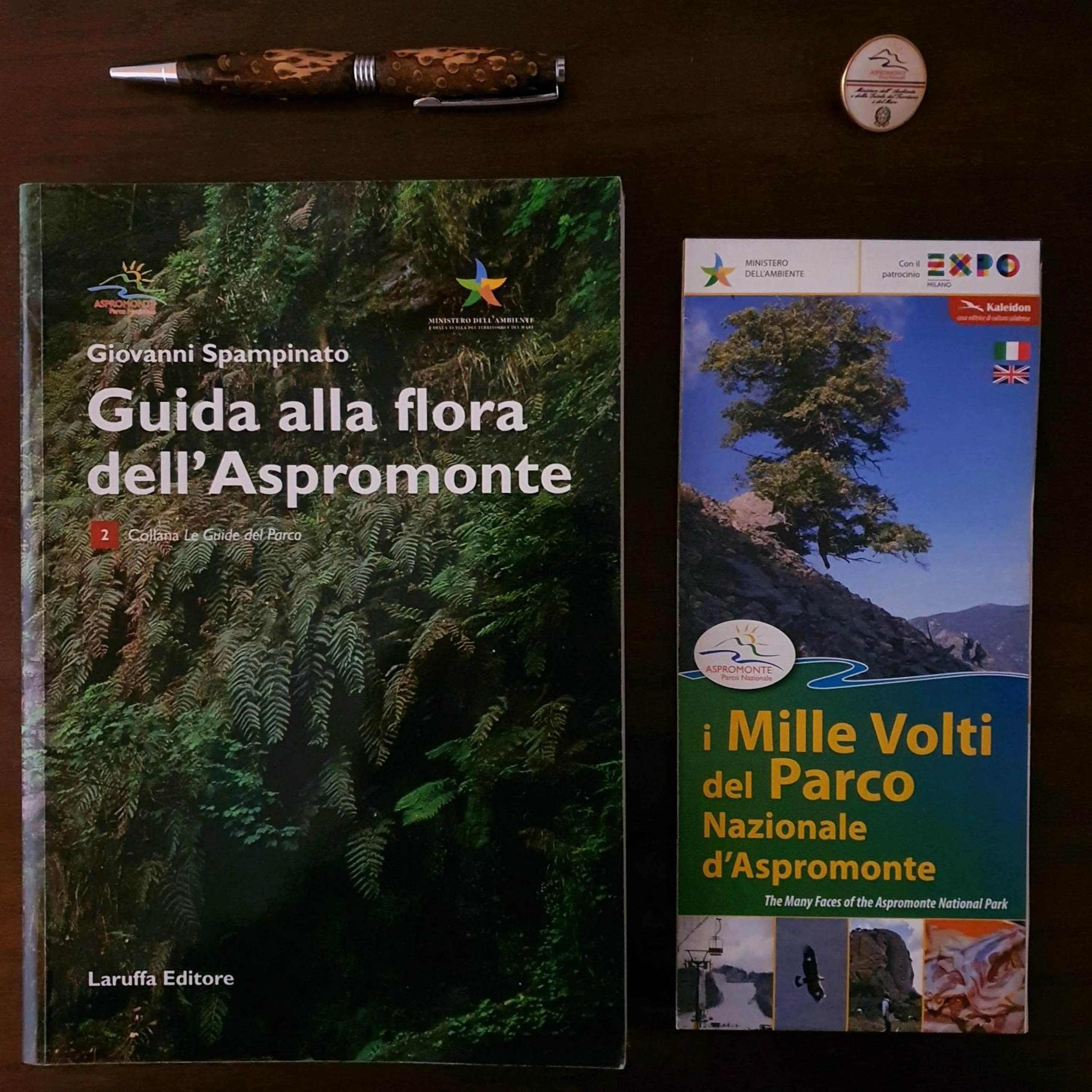 Lobby or reception in Park Hotel Bellavista