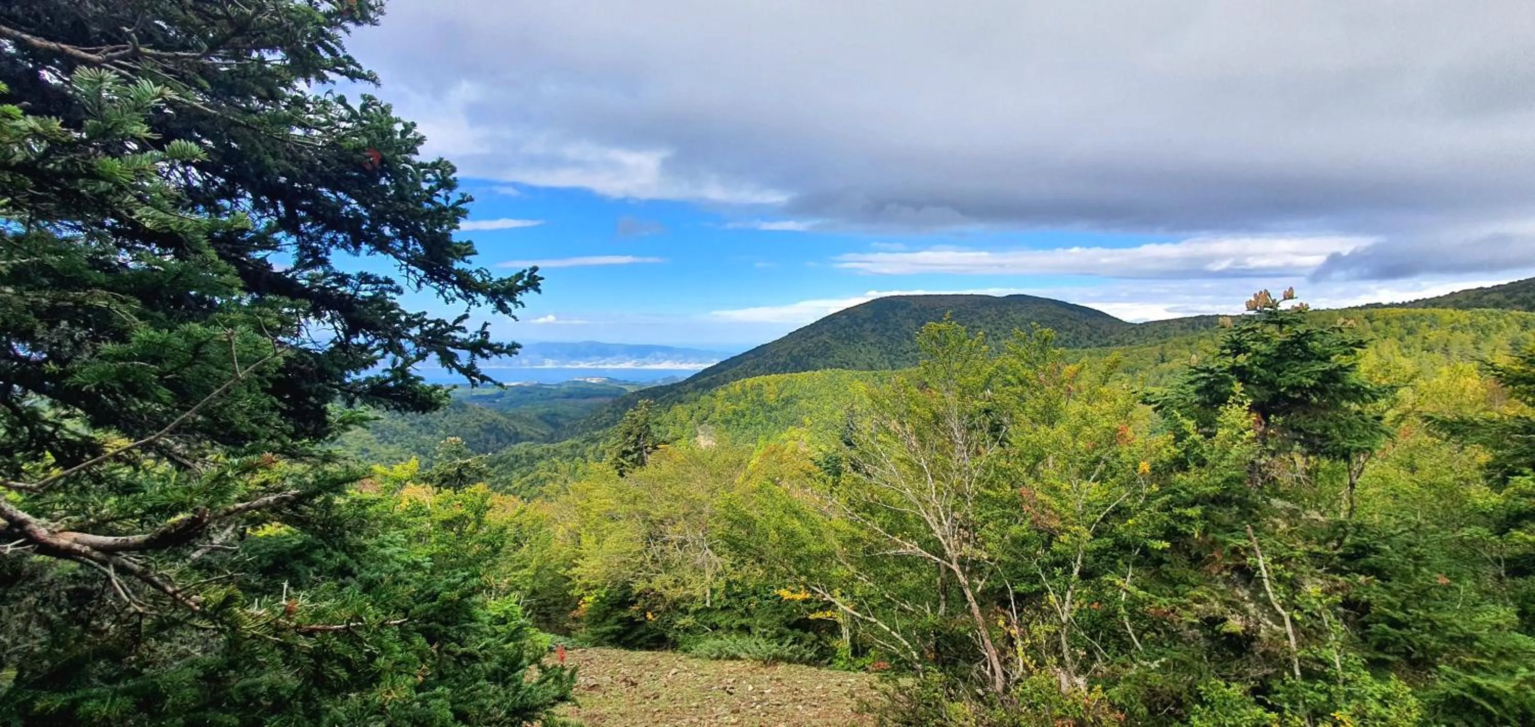 Natural landscape in Park Hotel Bellavista