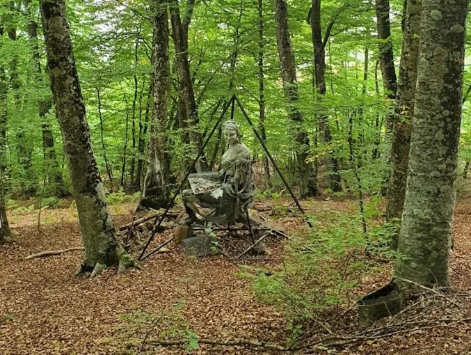 Natural landscape in Park Hotel Bellavista