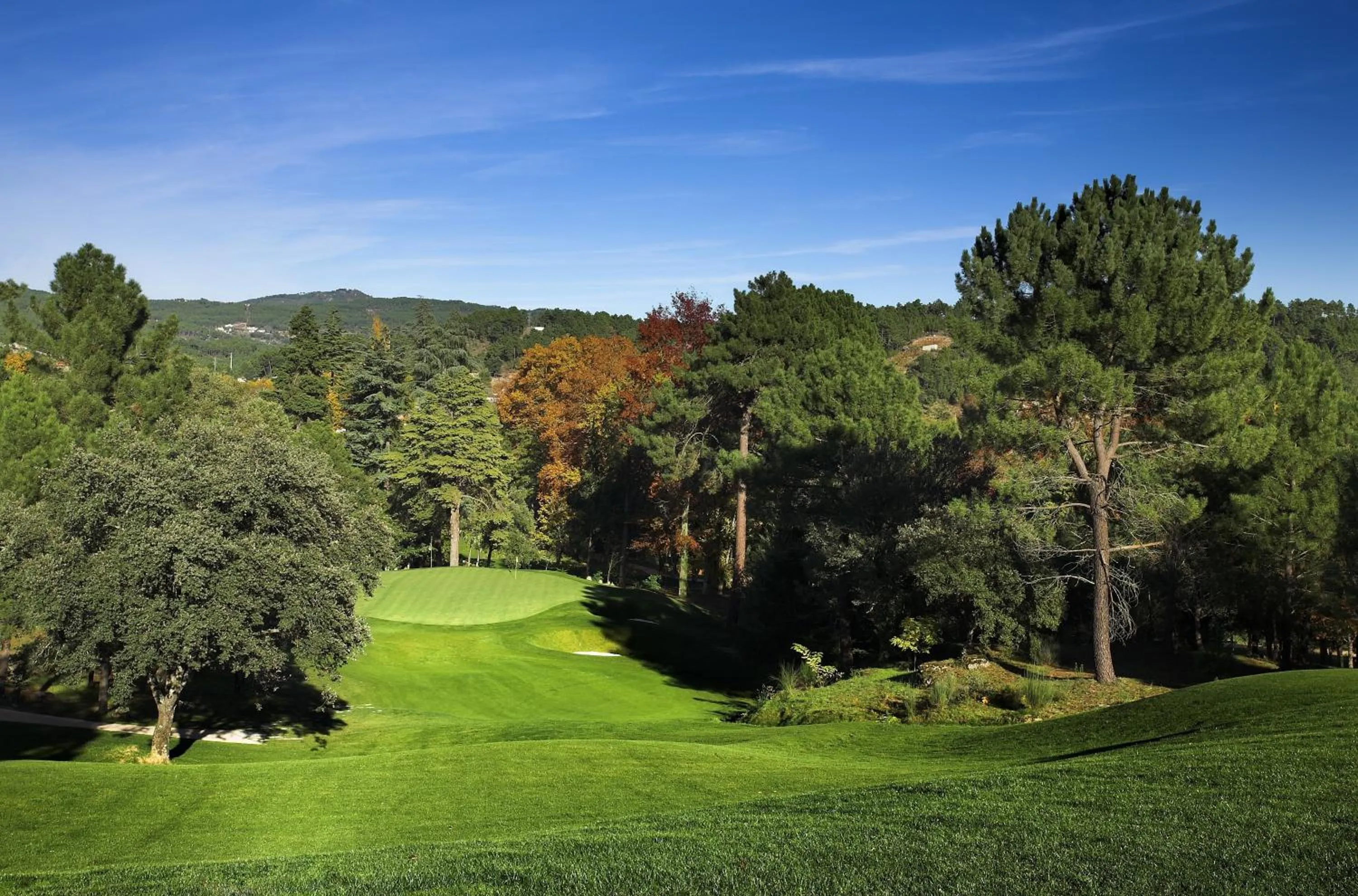 Garden in Primavera Perfume Hotel