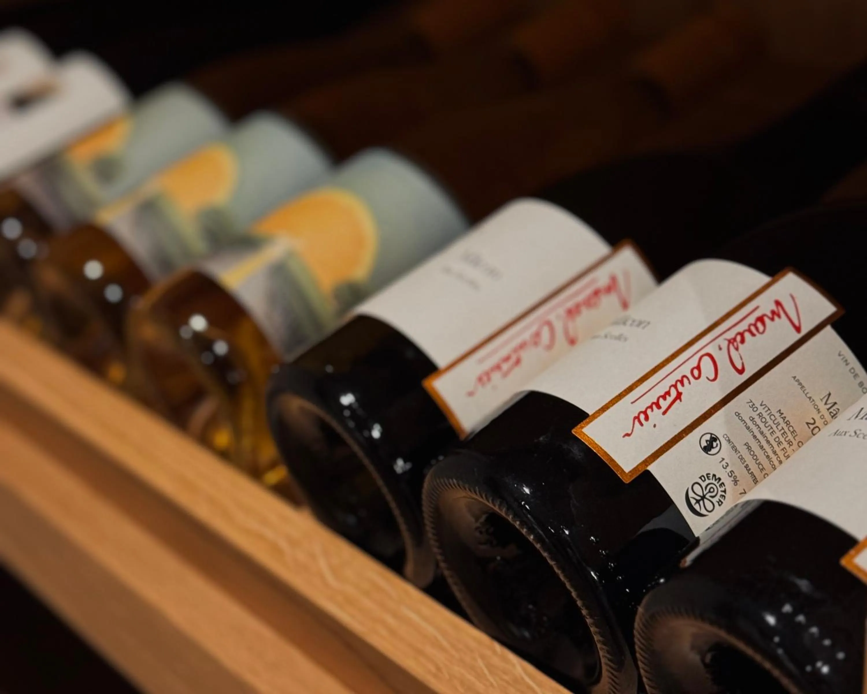 Area and facilities in Lyzzick