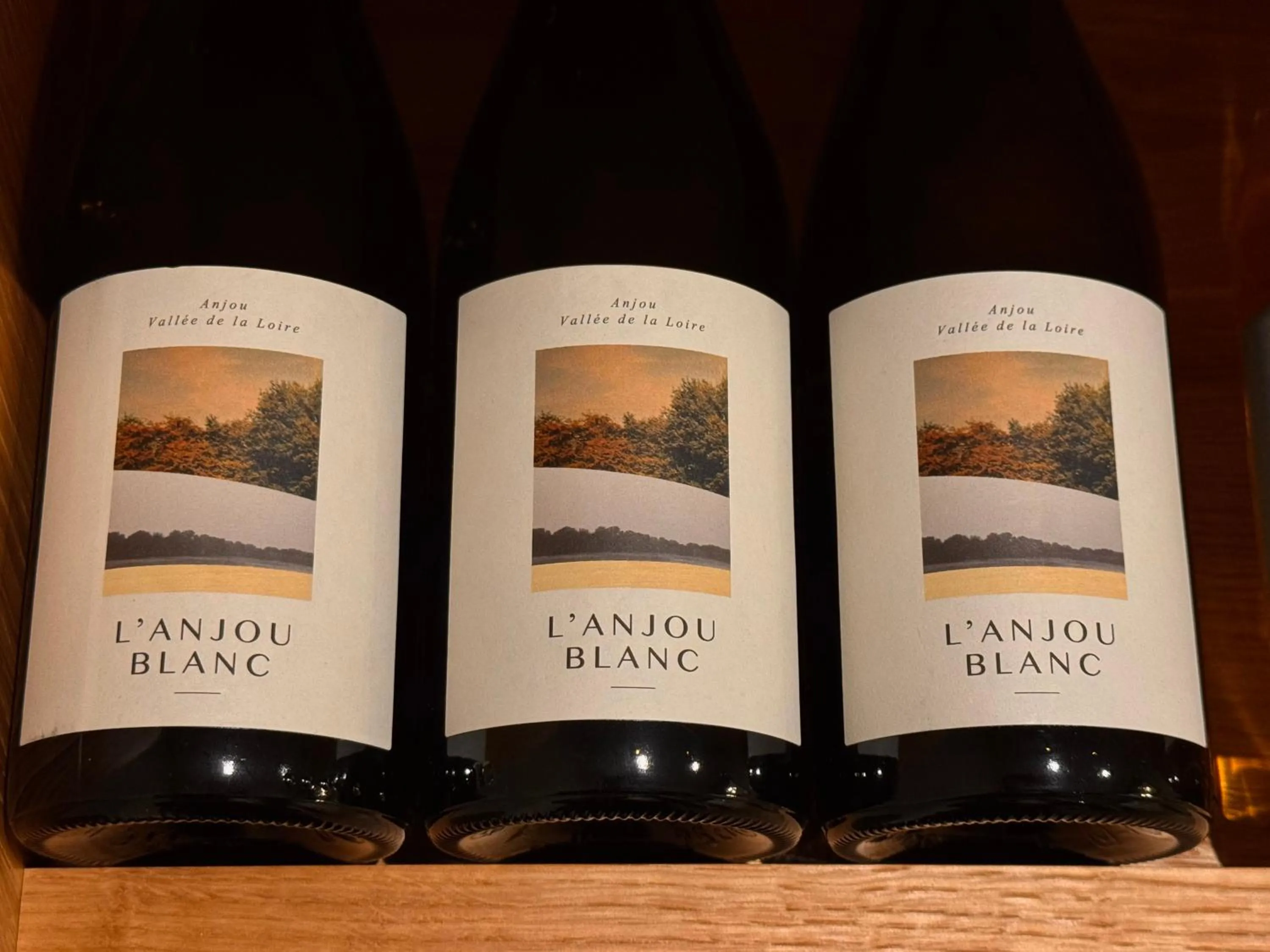 Area and facilities in Lyzzick