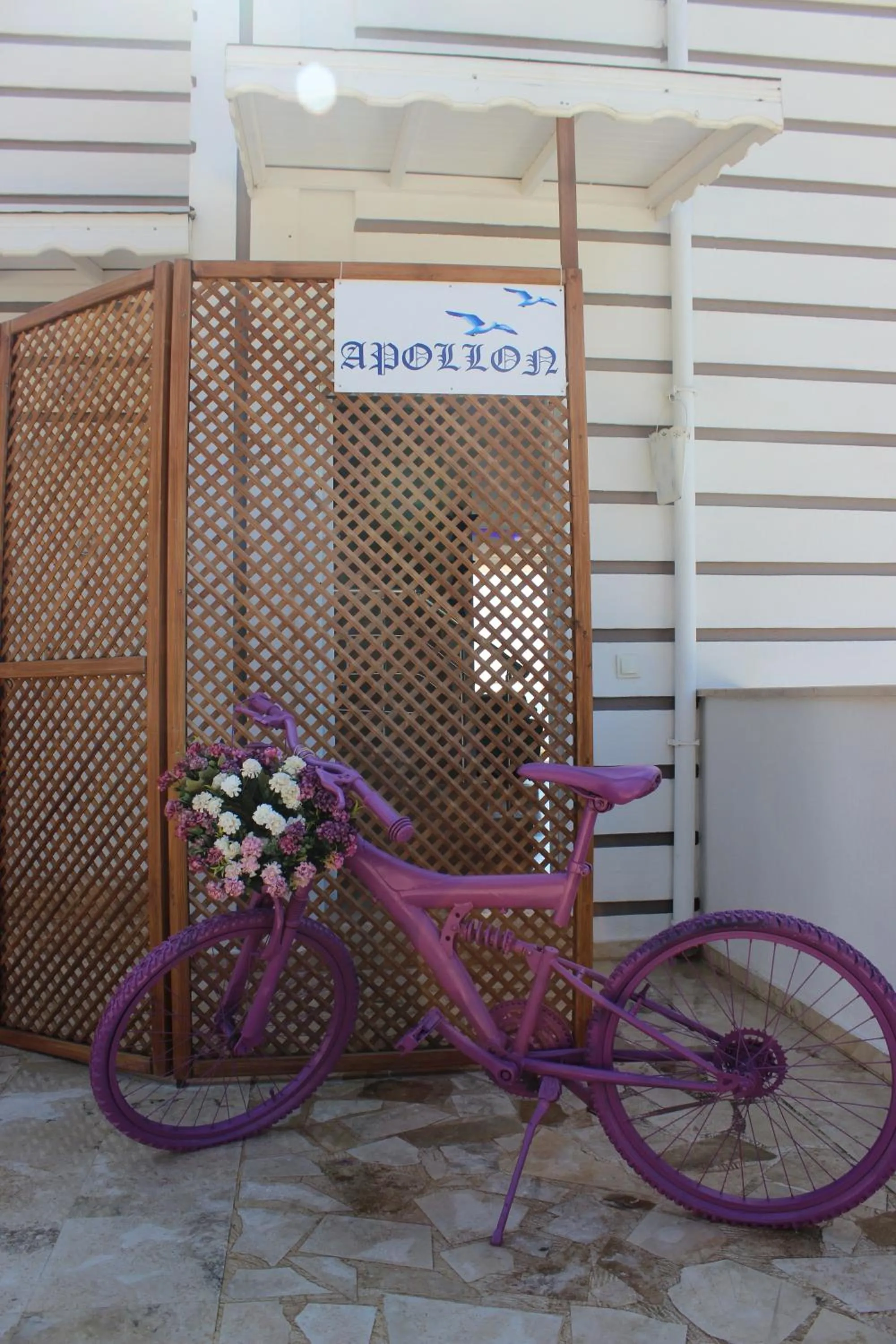 Apollon Apartment