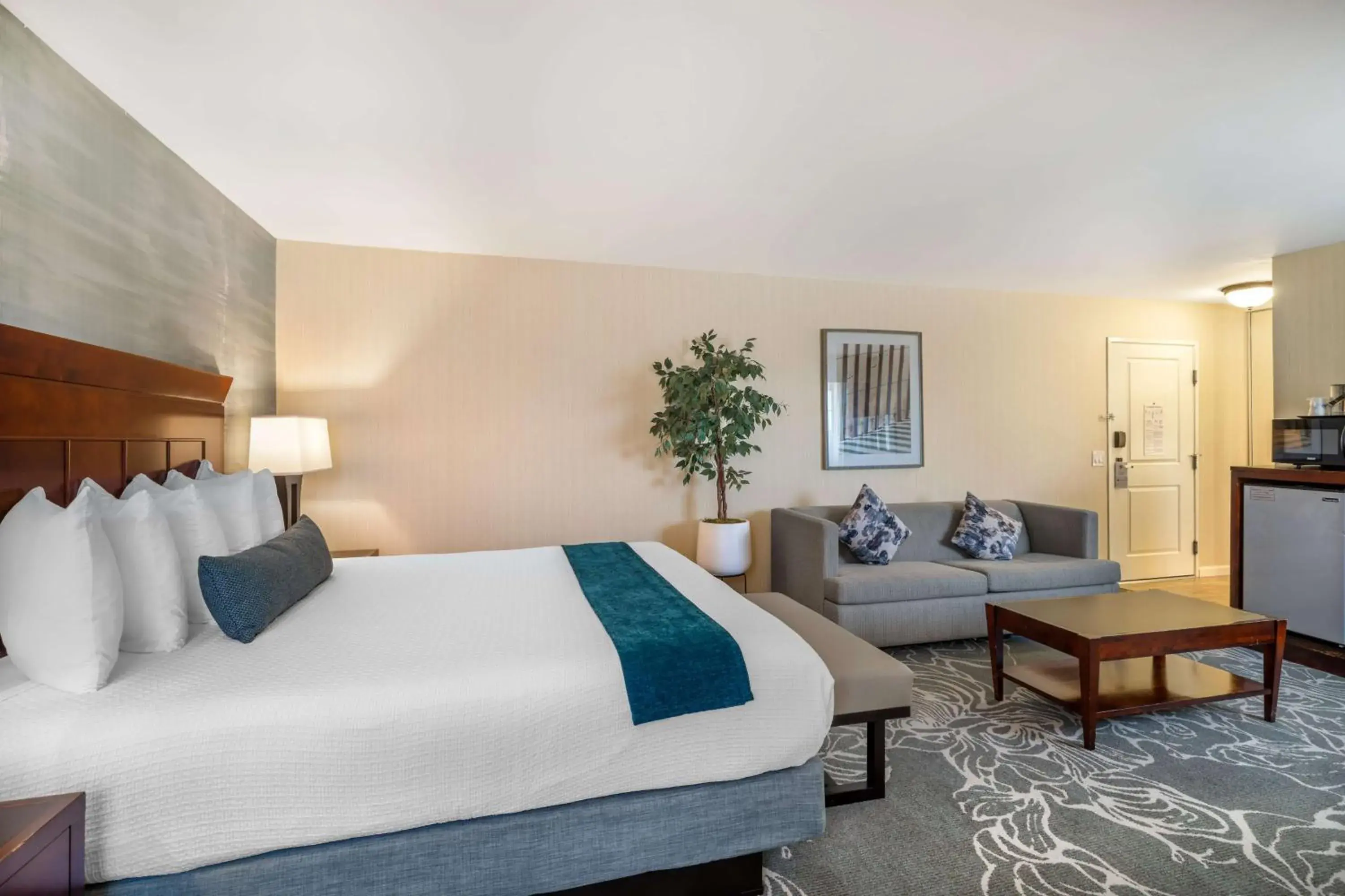 Photo of the whole room, Bed in Best Western Plus Carpinteria Inn Photo of the whole room, Bed in Best Western Plus Carpinteria Inn