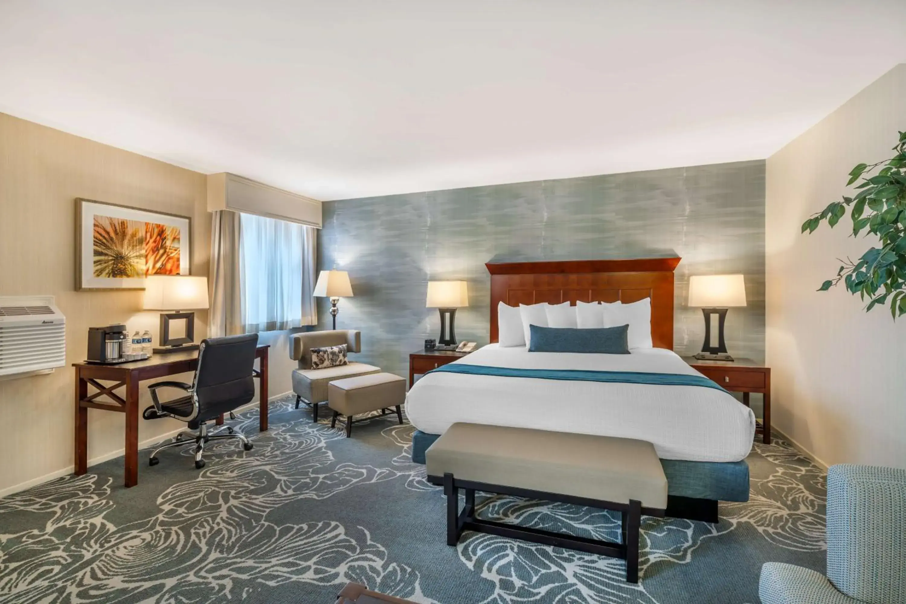 Photo of the whole room, Bed in Best Western Plus Carpinteria Inn Photo of the whole room, Bed in Best Western Plus Carpinteria Inn