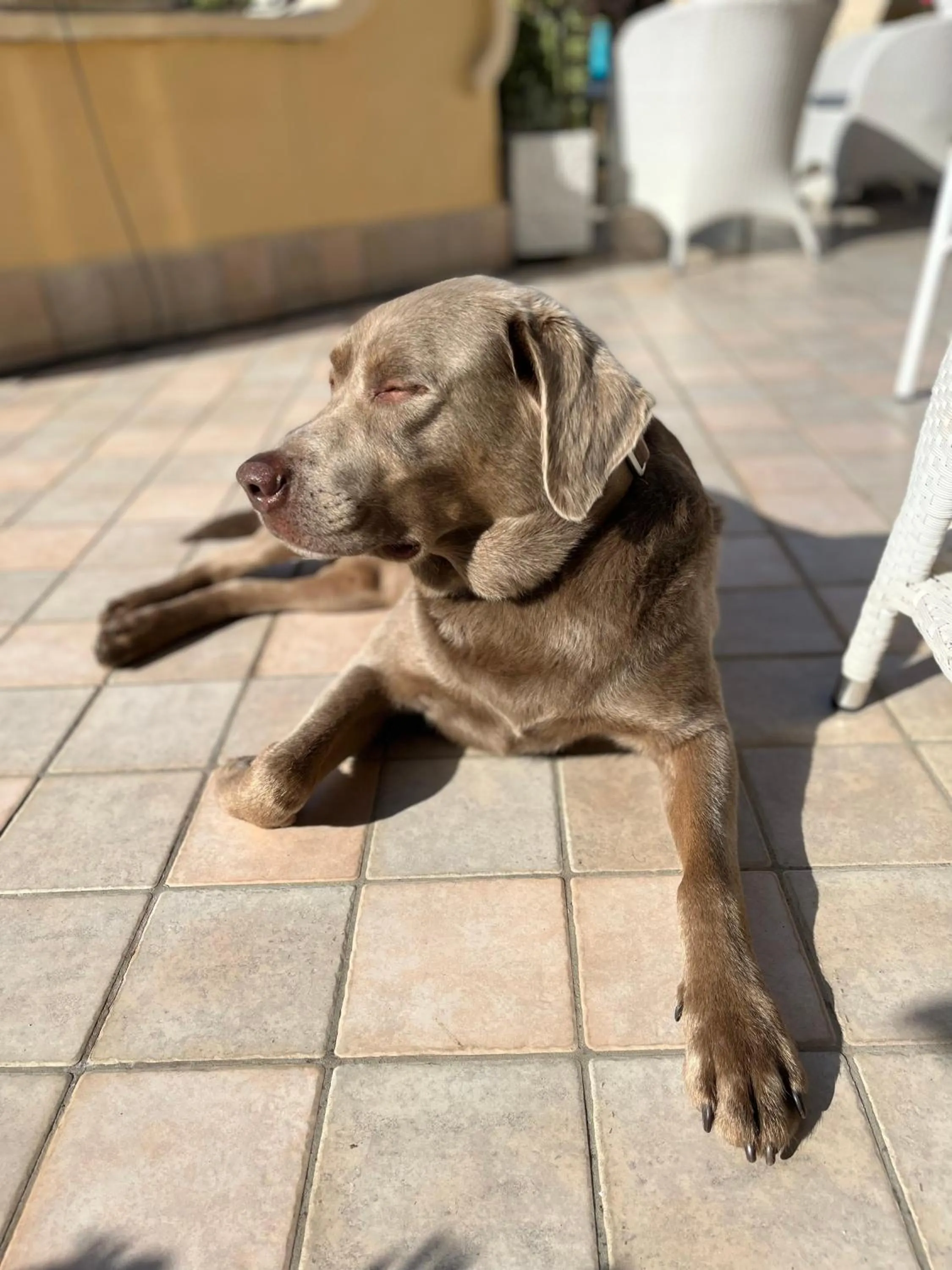 Balcony/Terrace in Barocchetto Romano