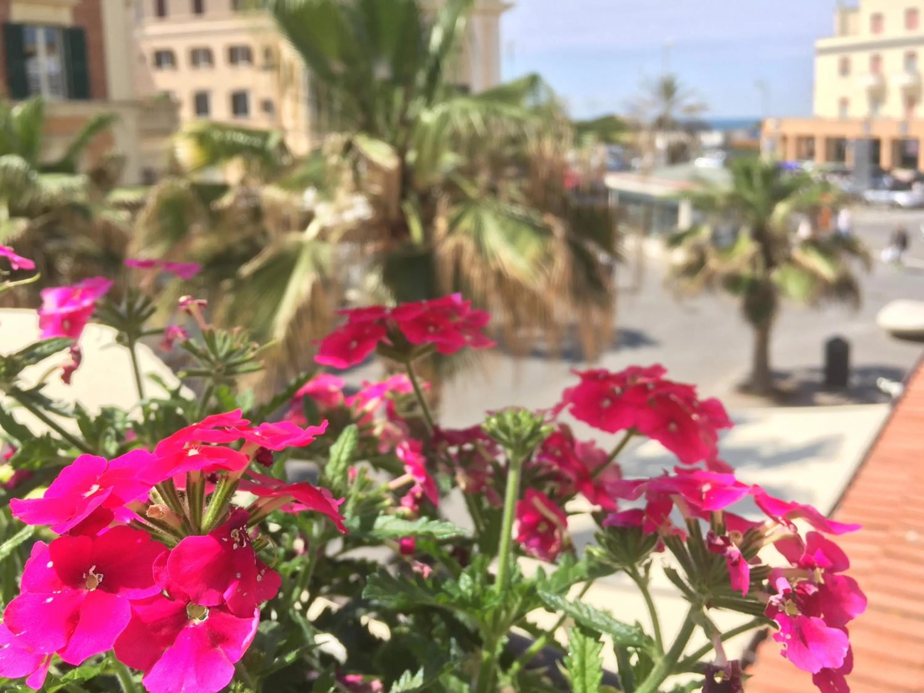Balcony/Terrace in Barocchetto Romano