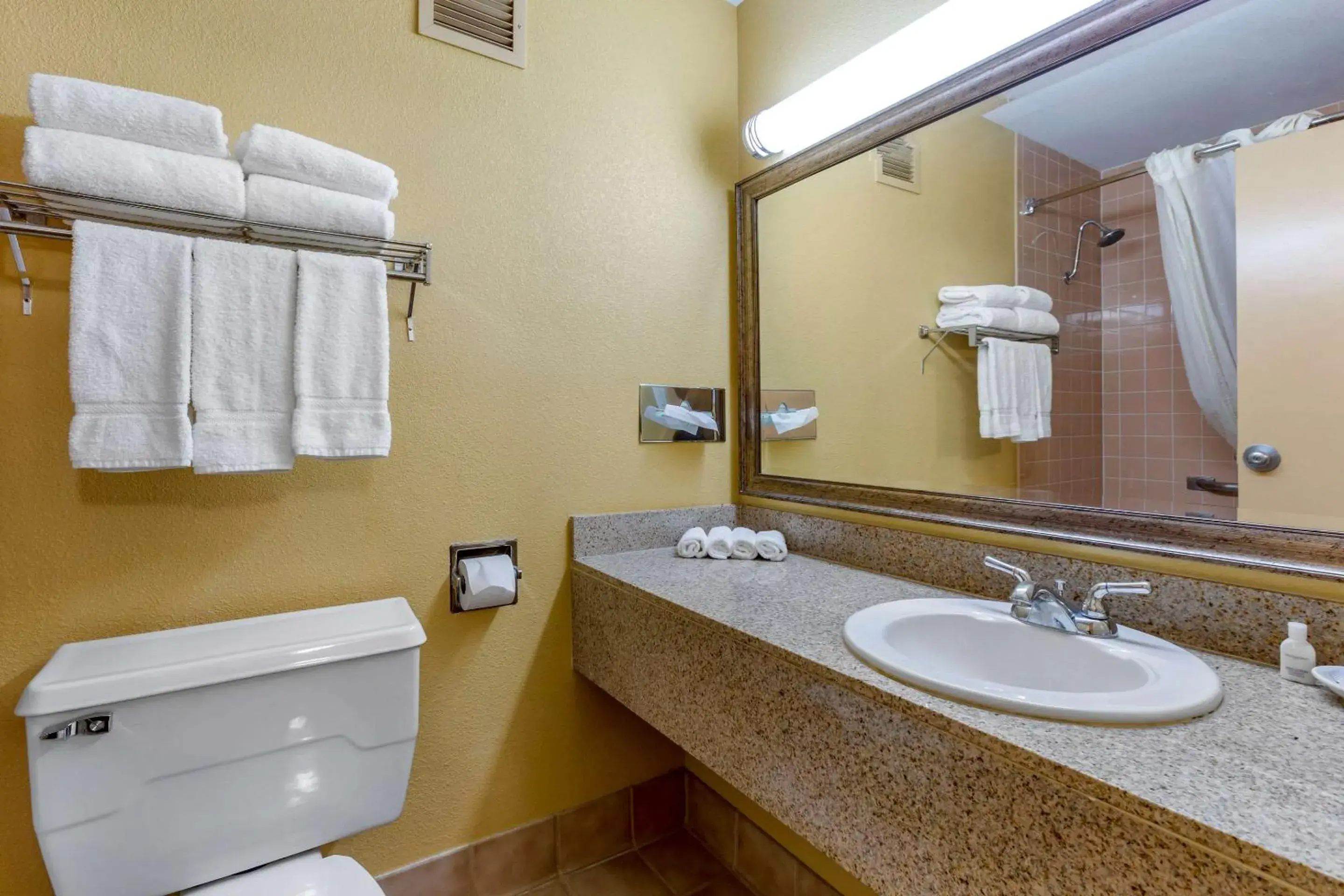 Bathroom in Clarion Inn & Suites Roswell Bathroom in Clarion Inn & Suites Roswell