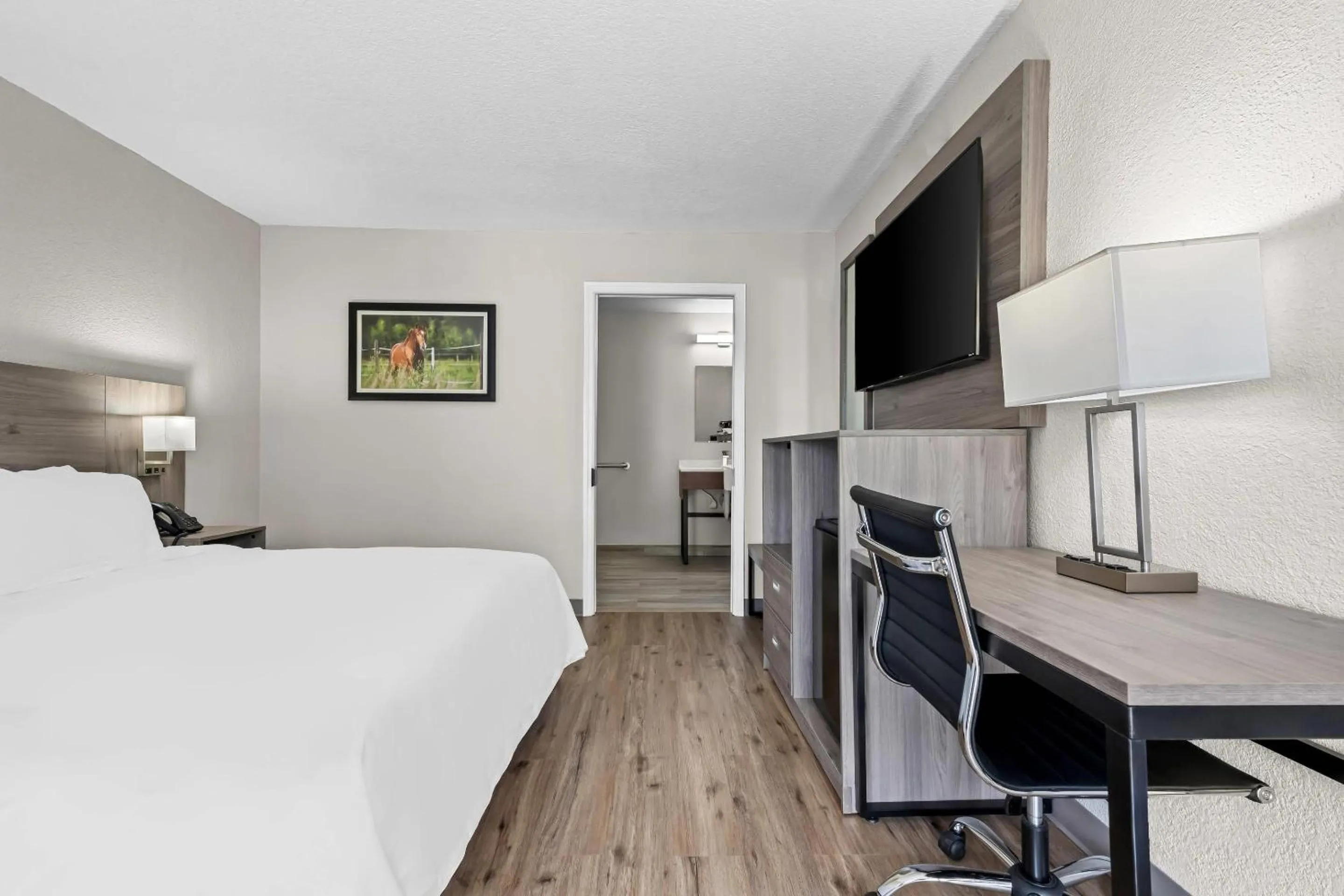 Bedroom, Bed in Quality Inn & Suites Ocala I-75