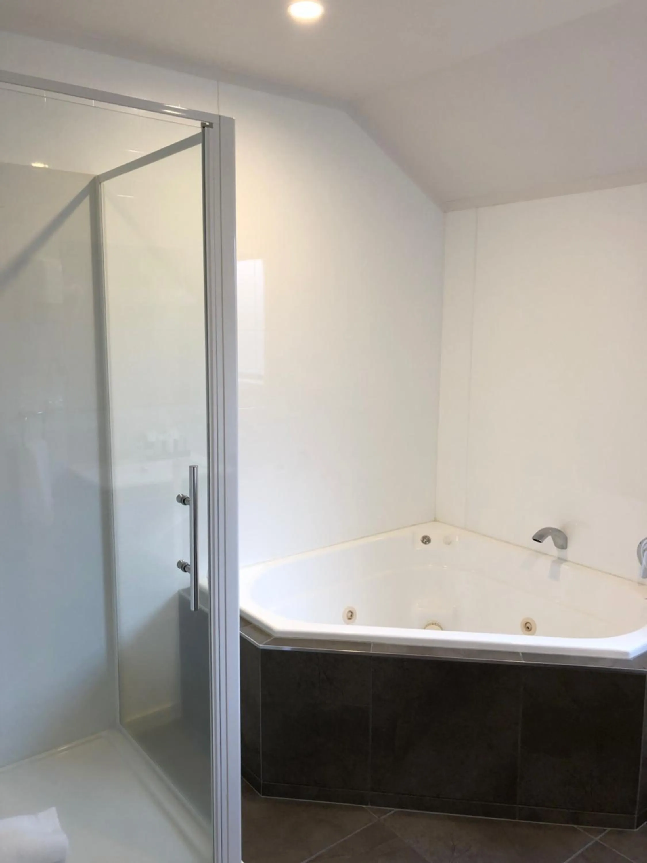 Shower in Quality Inn Acapulco Taupo