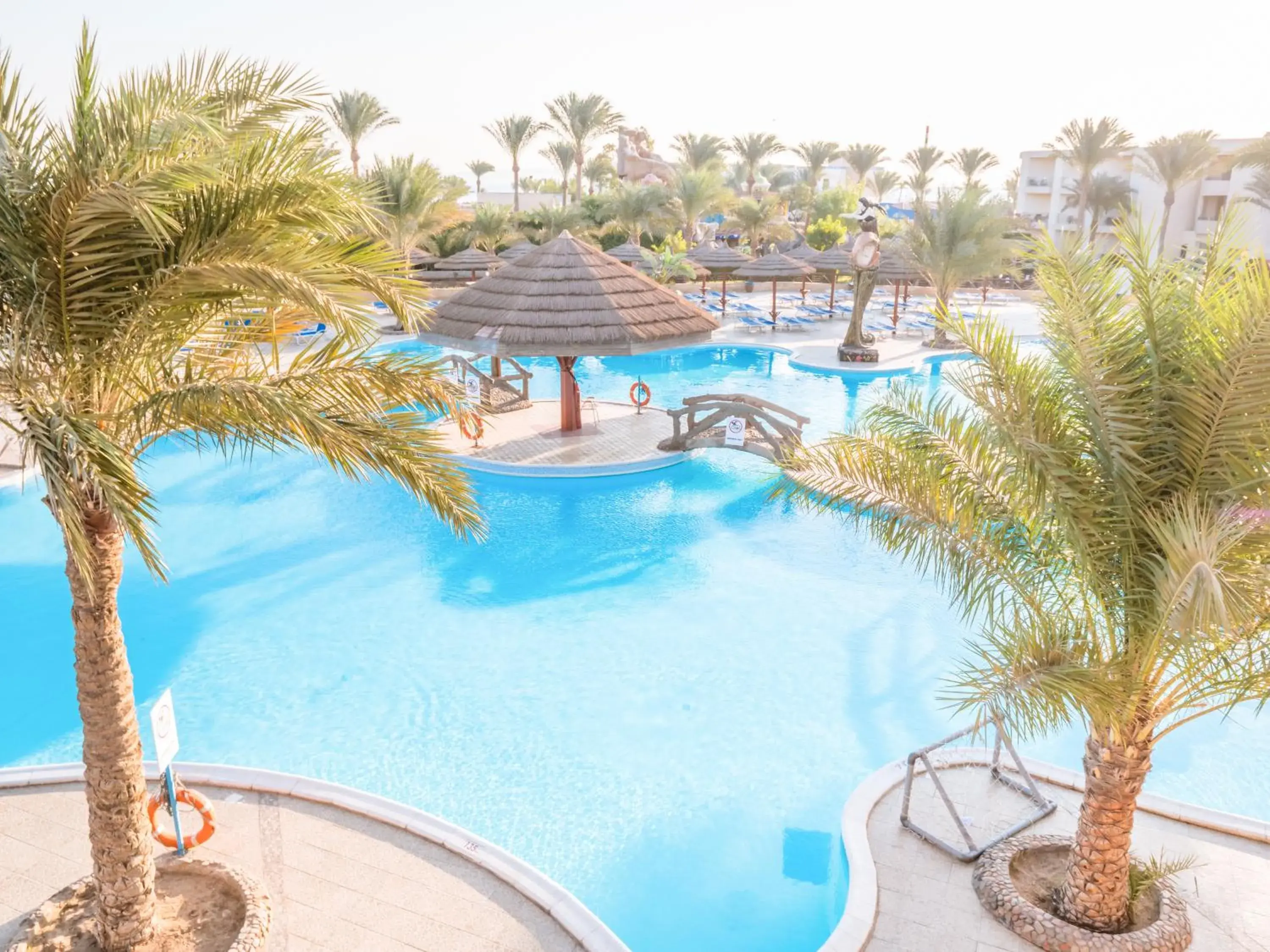 Swimming pool in Seagull Beach Resort - Families and Couples Only Swimming pool in Seagull Beach Resort - Families and Couples Only