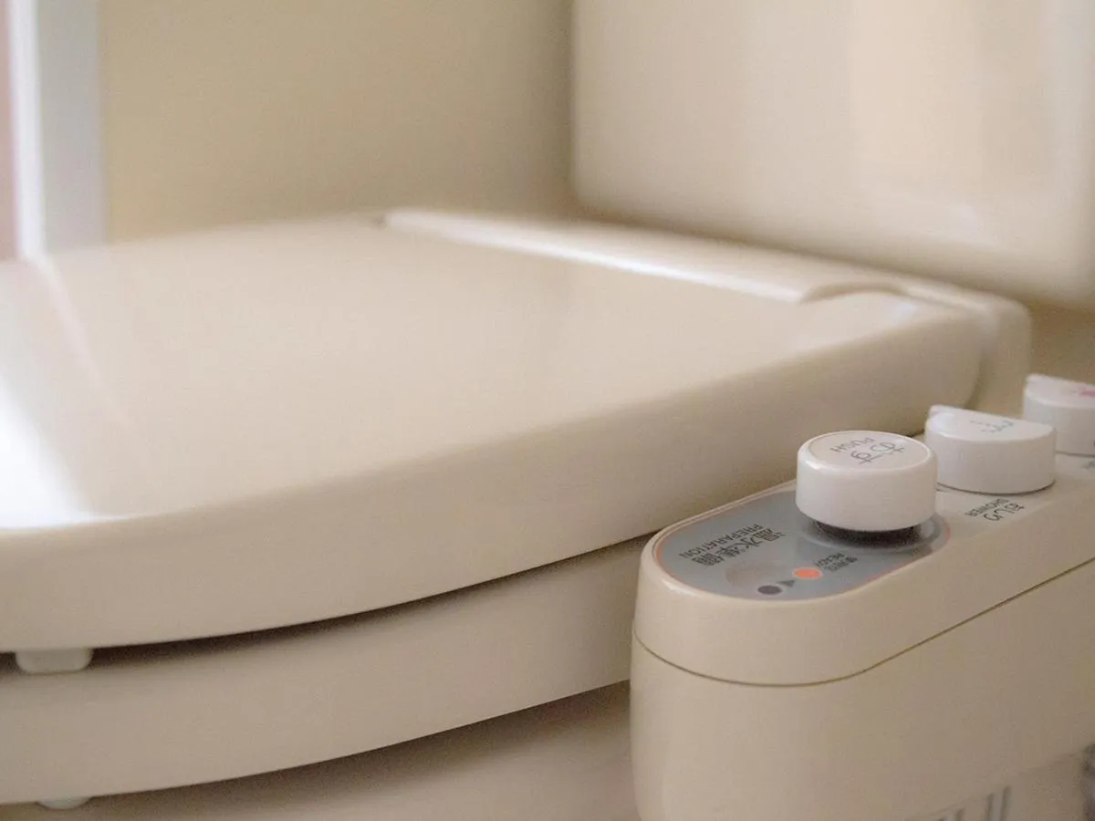 Toilet in Swanky Hotel Otomo