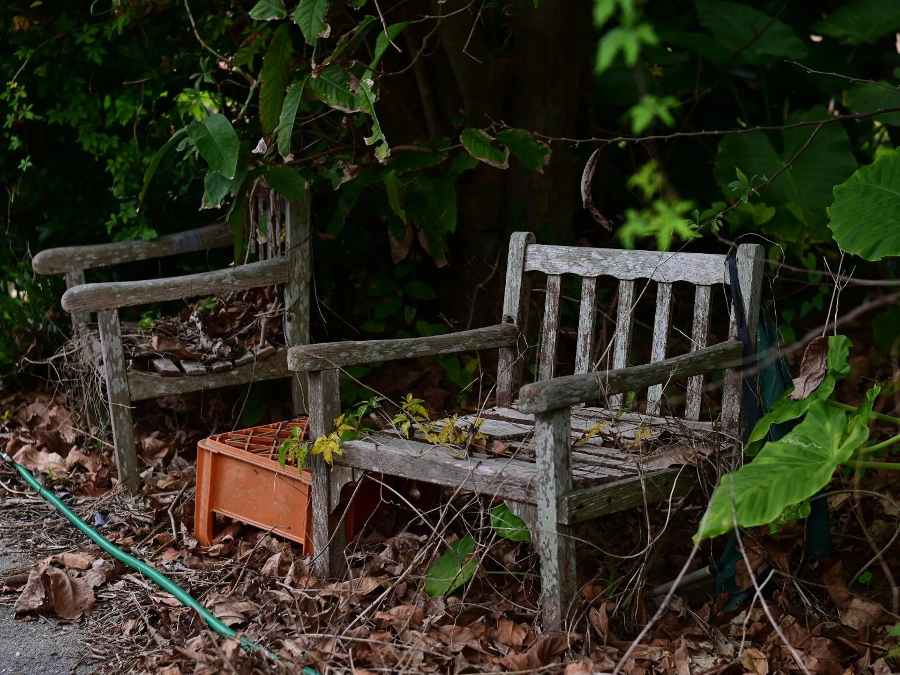 Off site in Ocean Villa Tin Gala