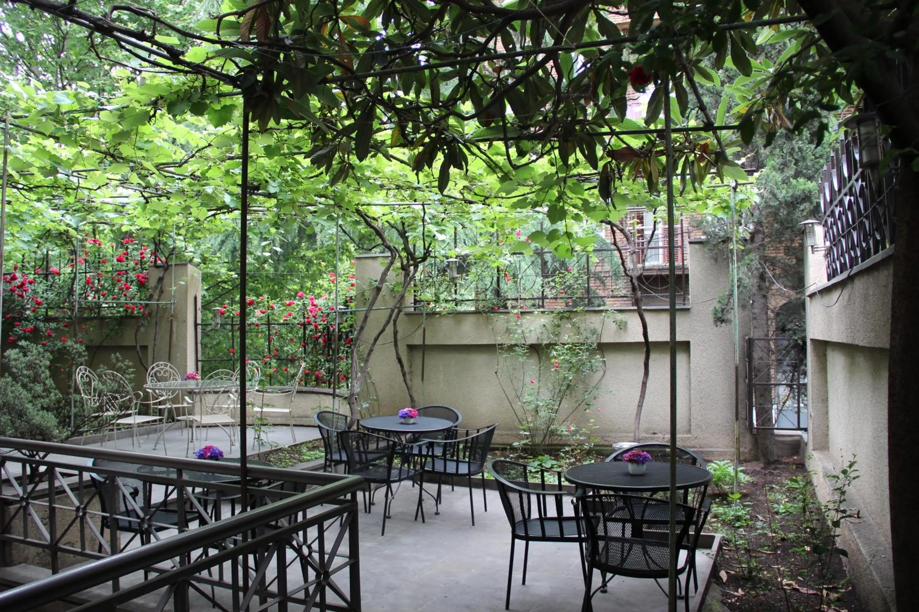 Garden in Iliani Hotel