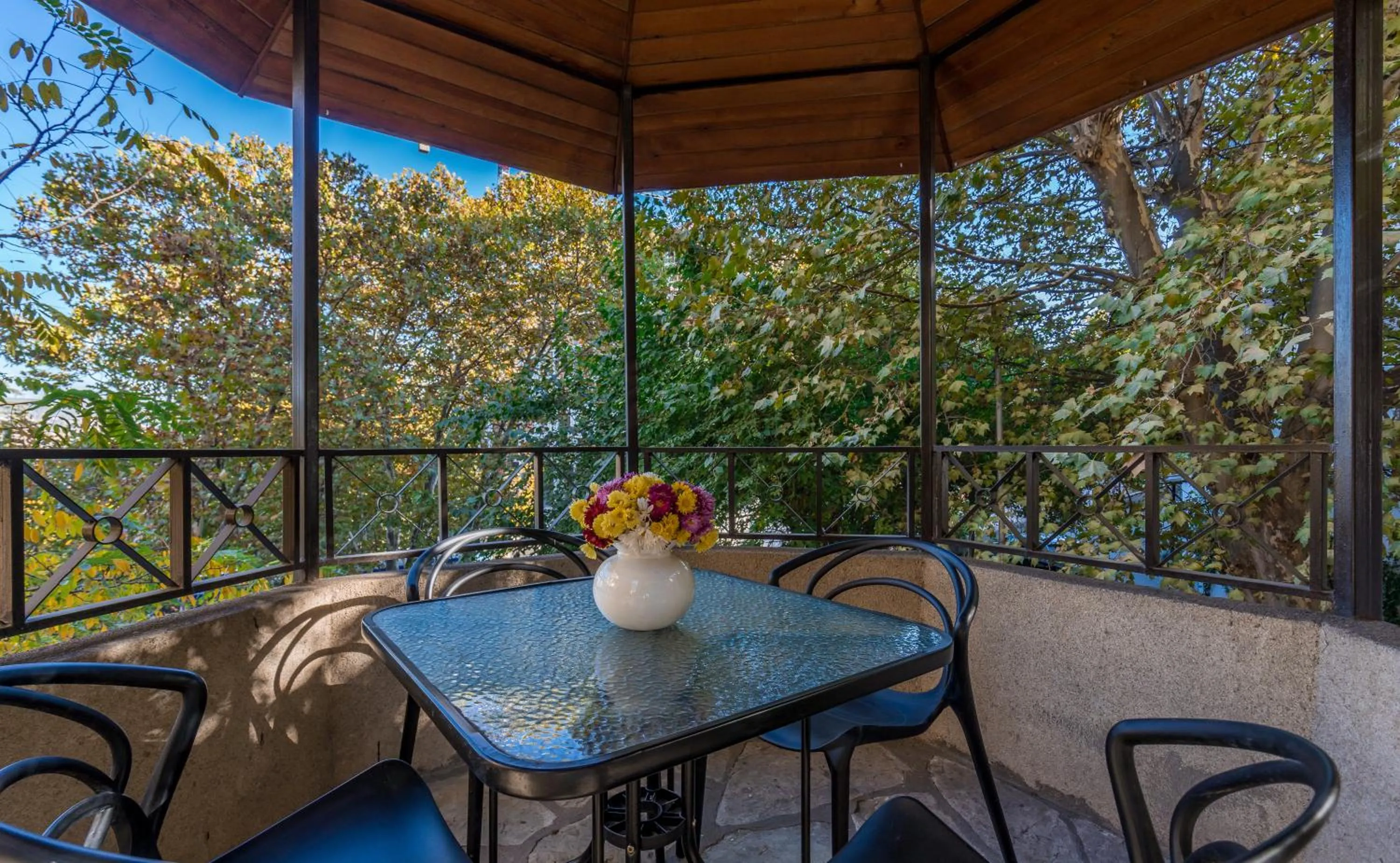 Garden in Iliani Hotel