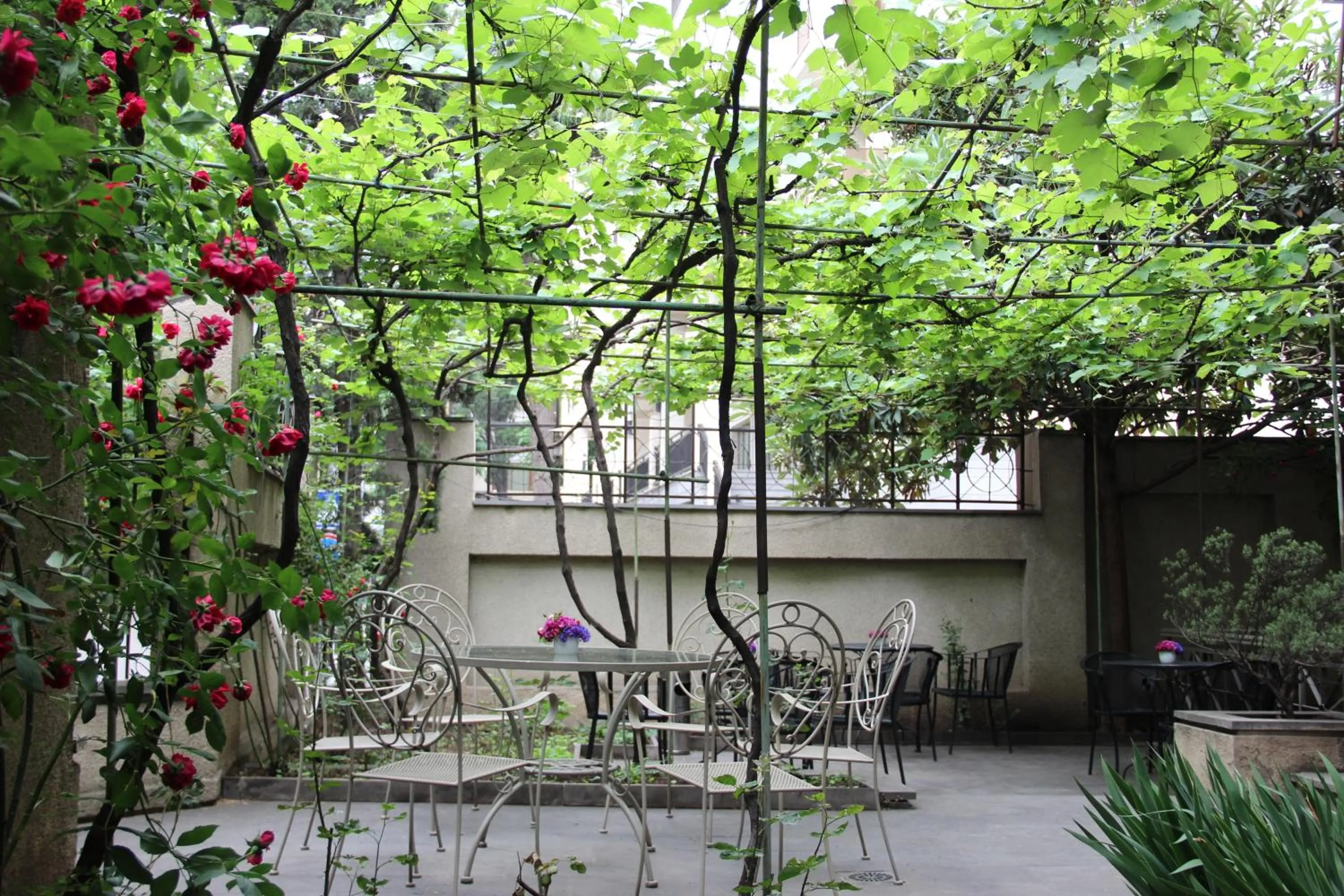 Garden in Iliani Hotel