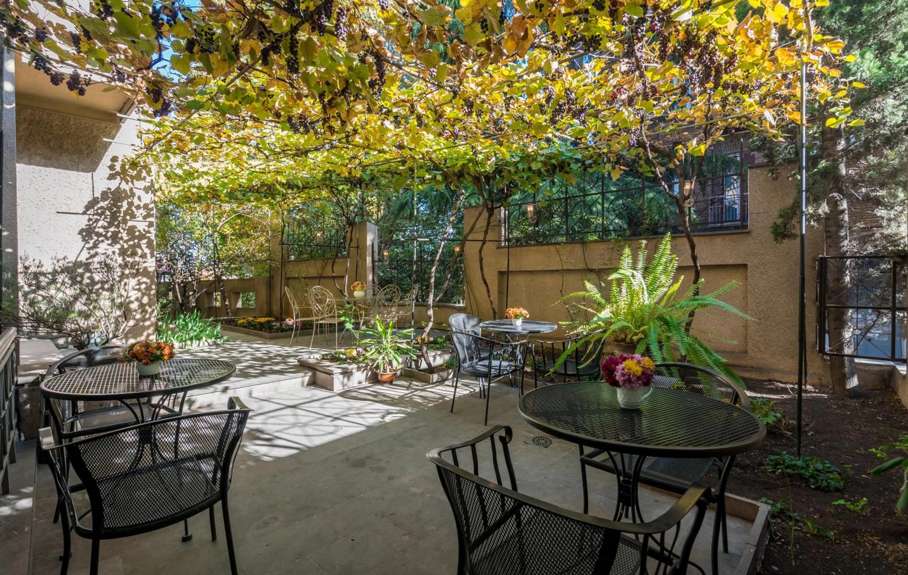 Garden in Iliani Hotel