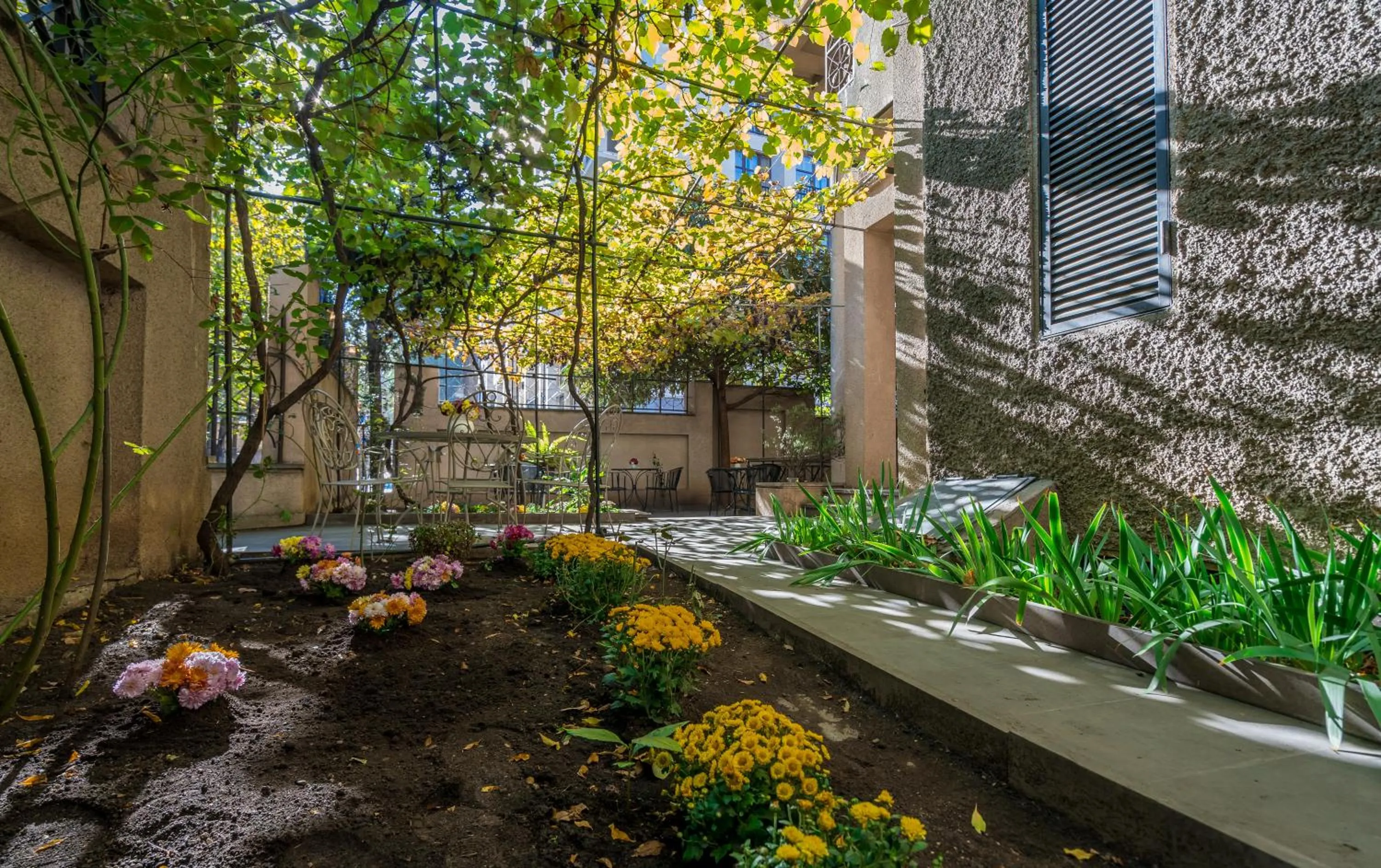 Garden in Iliani Hotel