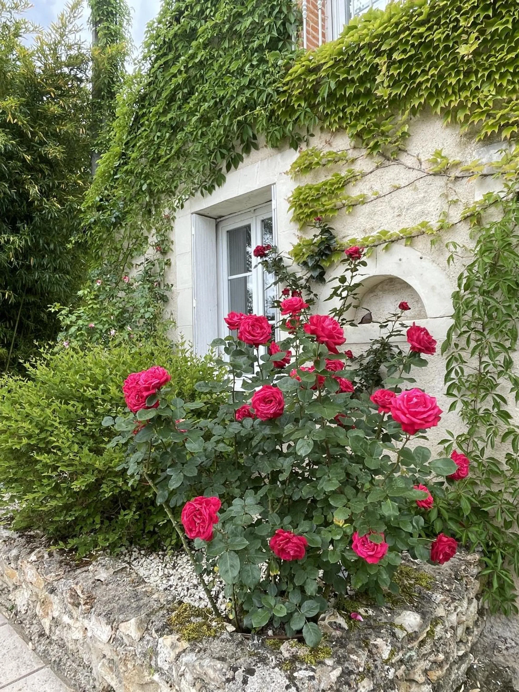 Garden in Villa Cassandre