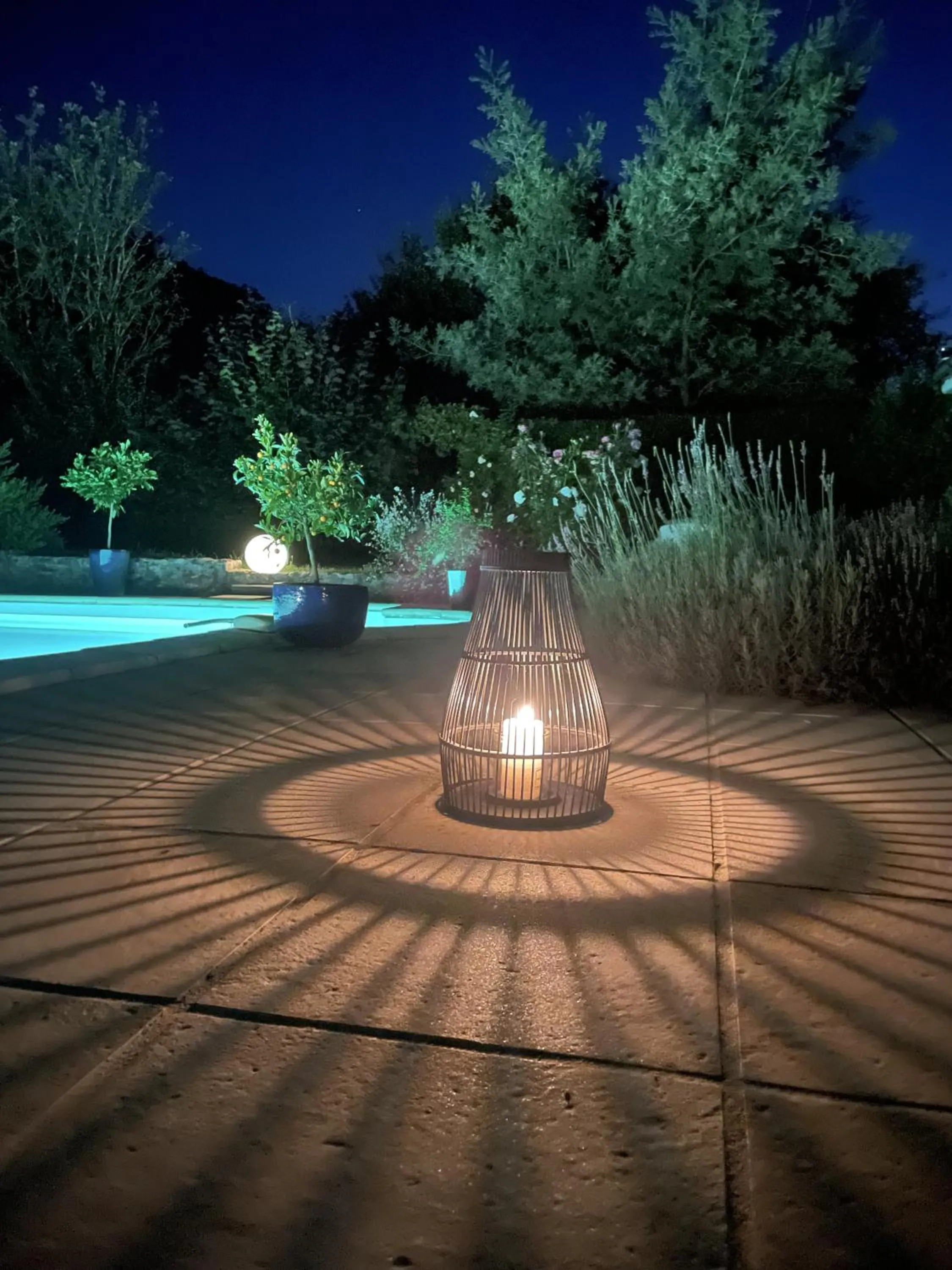 Garden in Villa Cassandre