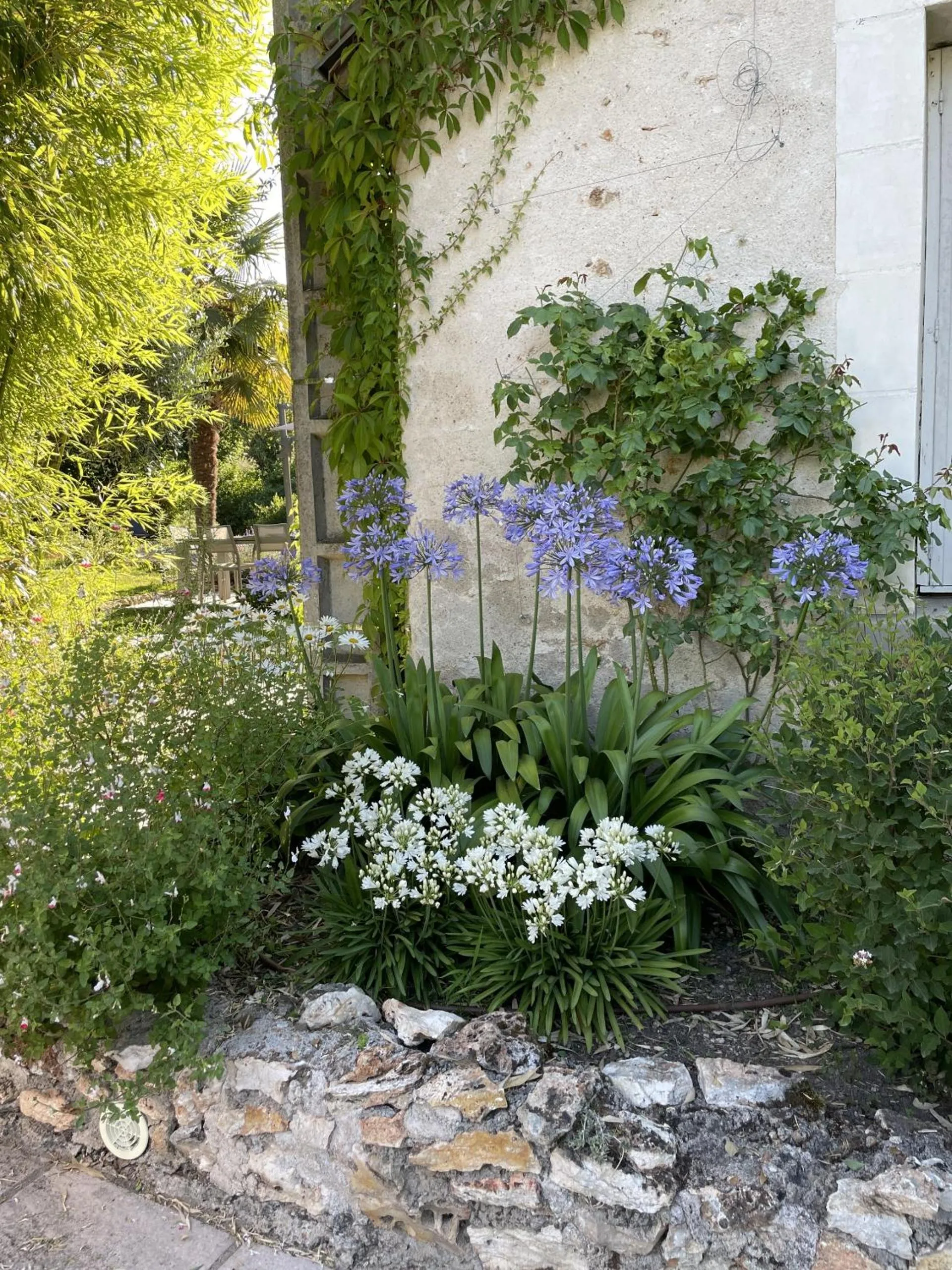 Garden in Villa Cassandre