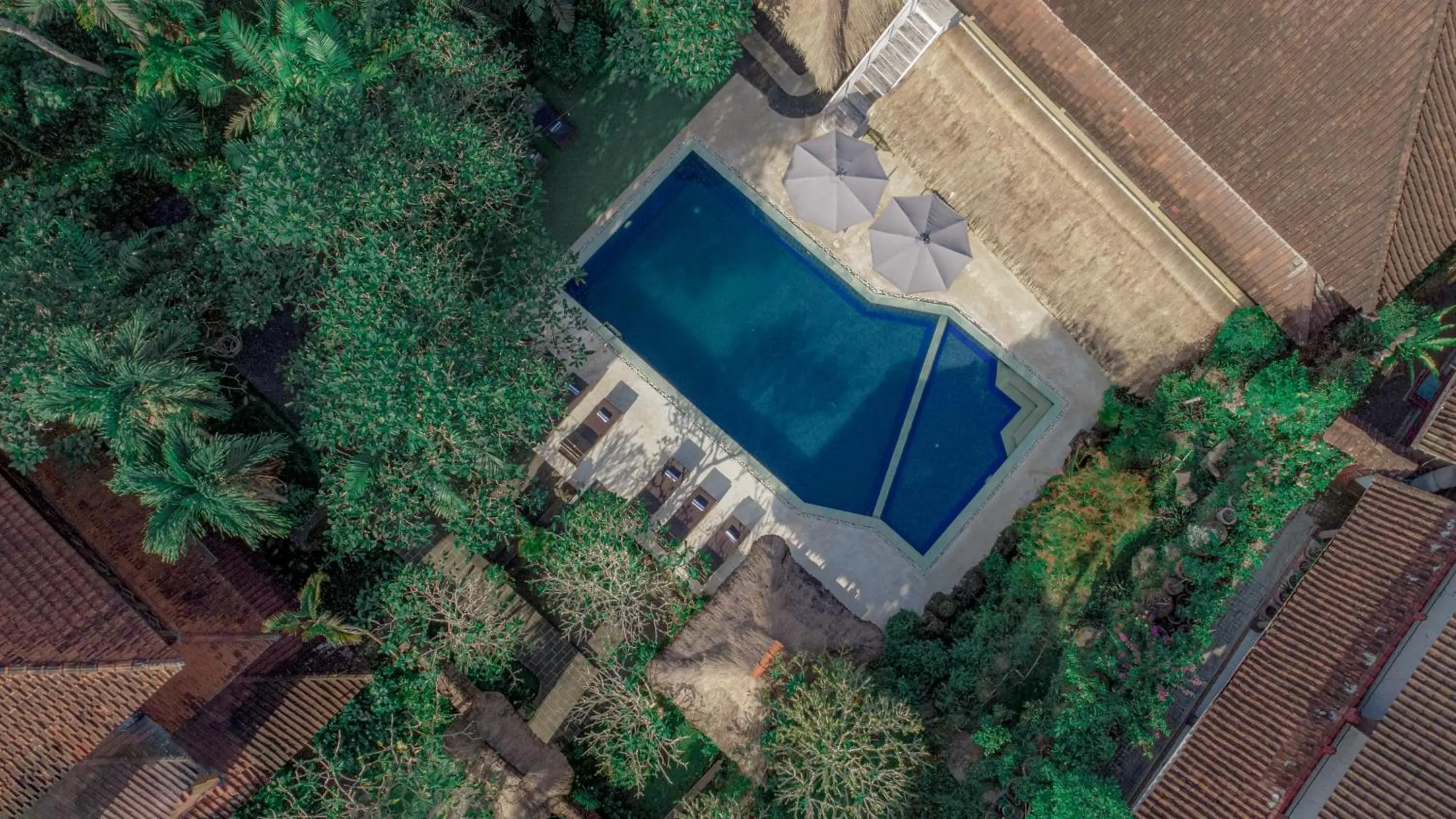 Bird's eye view in Artini 2 Cottage Ubud Bird's eye view in Artini 2 Cottage Ubud