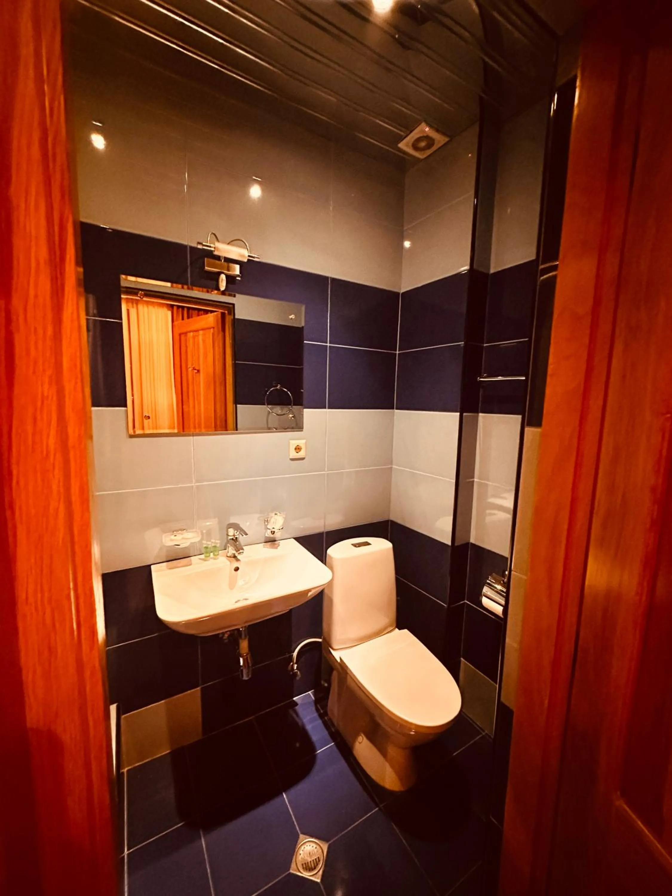 Toilet in Iceberg Hotel