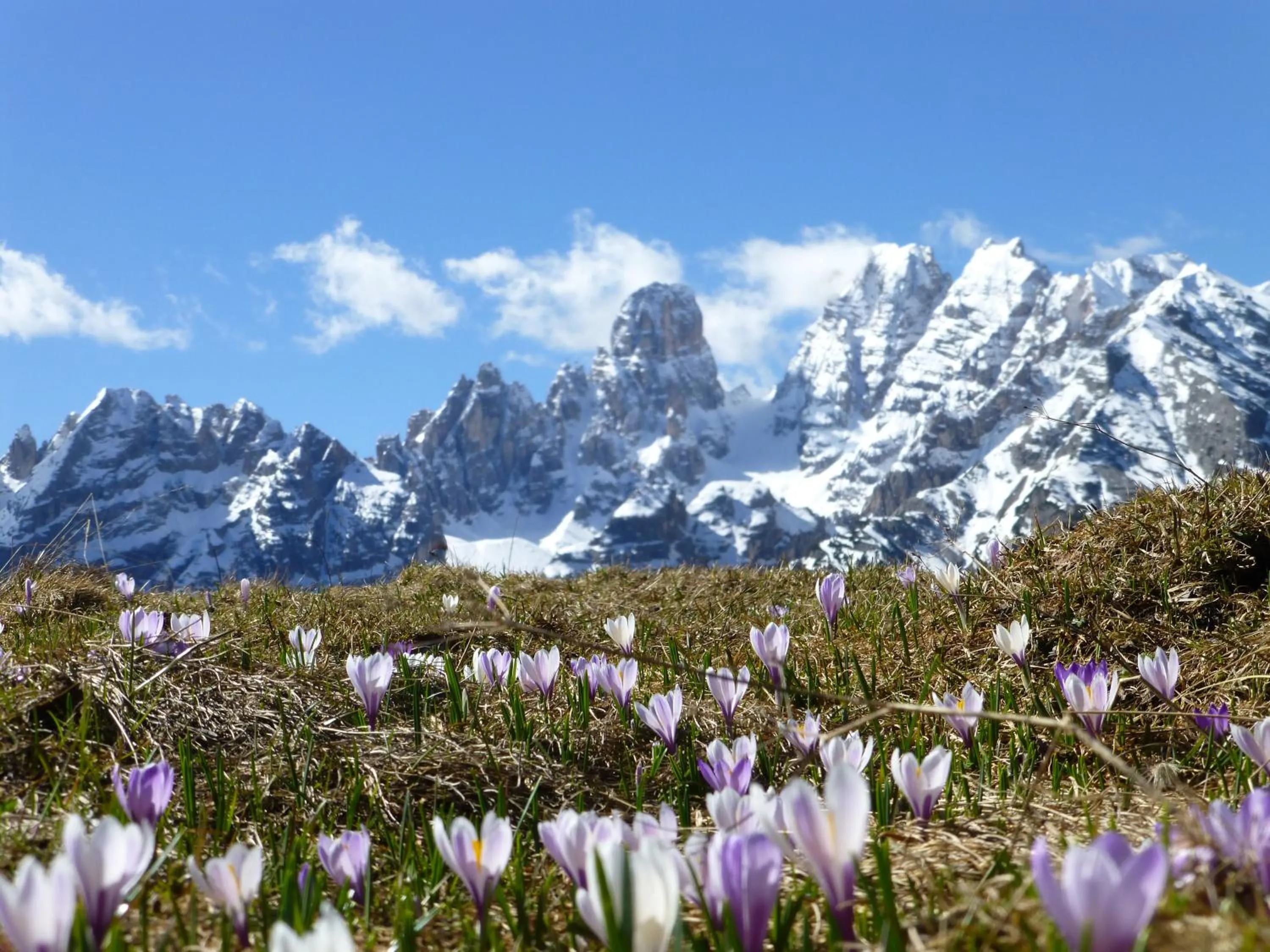 Nearby landmark in Hotel Edelweiss